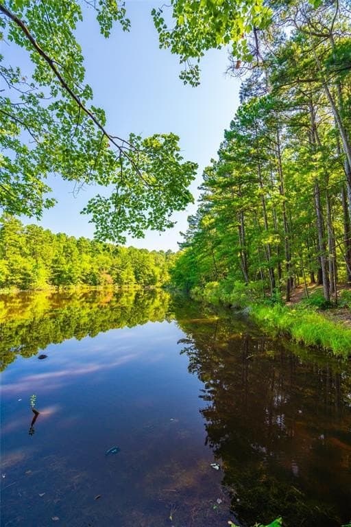 457 acres in Cass County gallery image 4