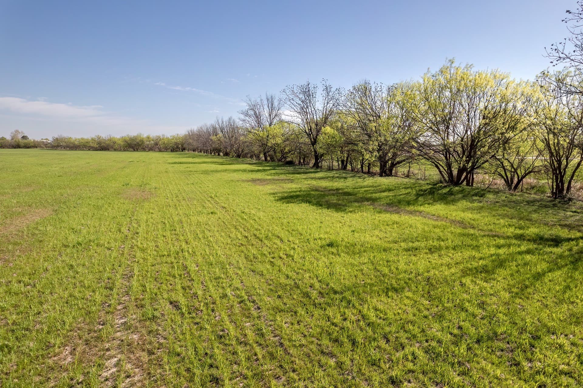 53.1 acres in Coleman County - photo 15