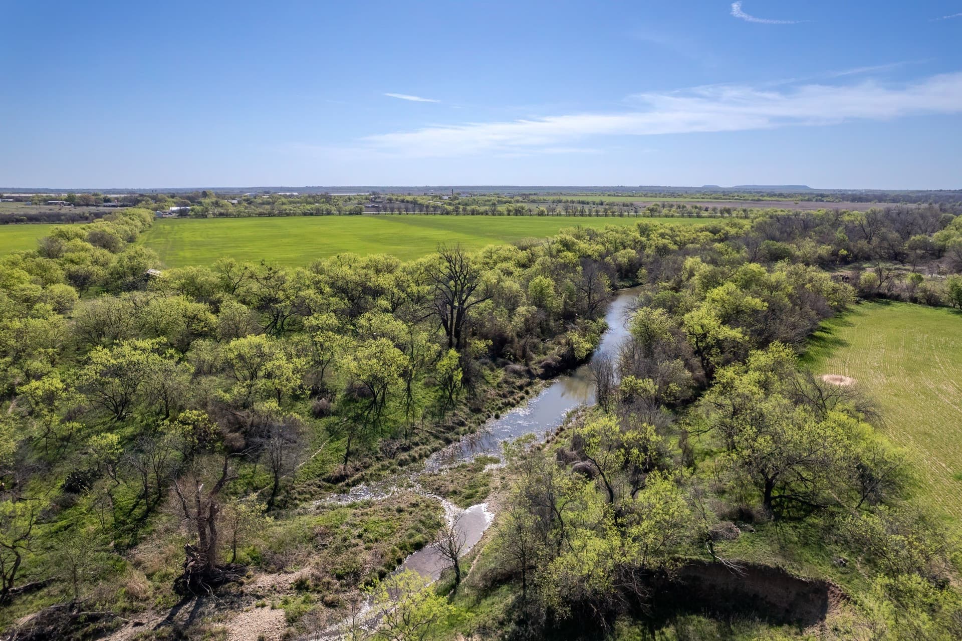 53.1 acres in Coleman County - photo 6