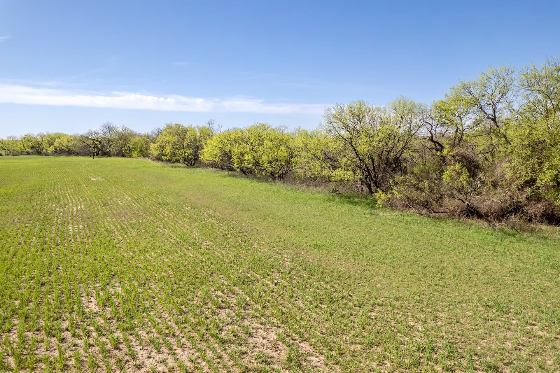 53.1 acres in Coleman County - photo 14
