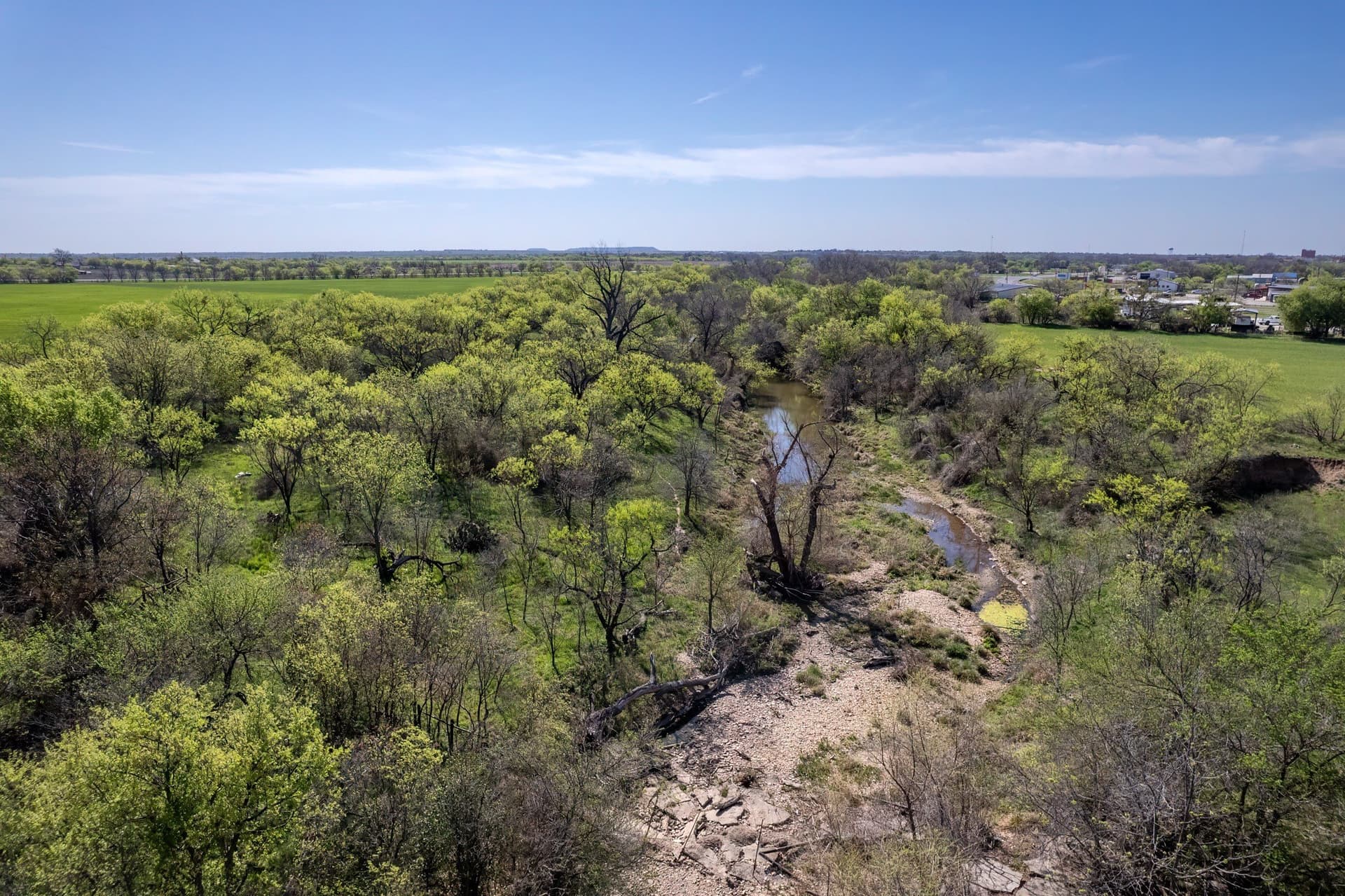 53.1 acres in Coleman County - photo 10