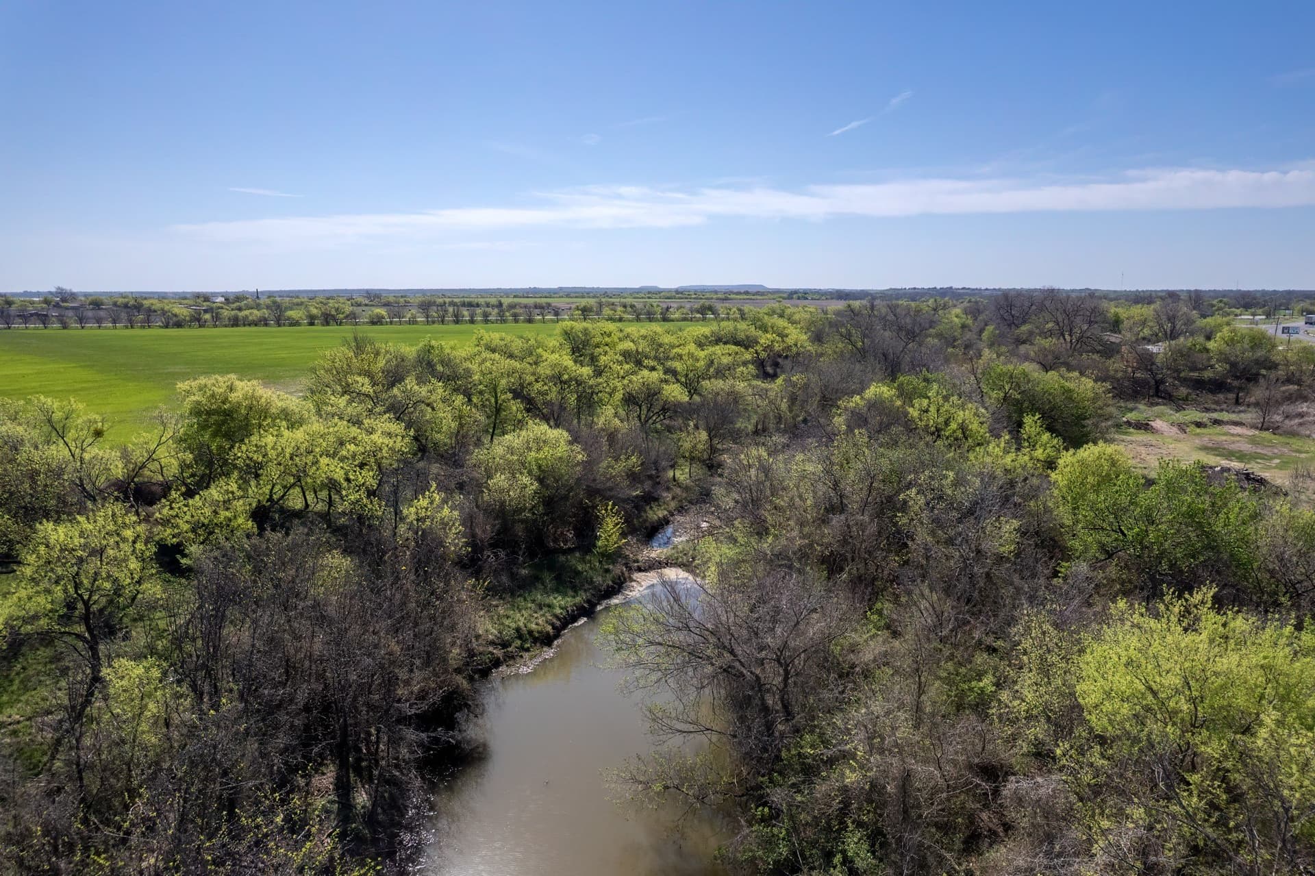 53.1 acres in Coleman County