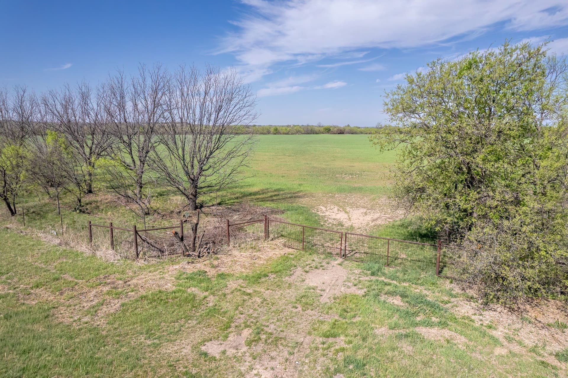 53.1 acres in Coleman County - photo 12