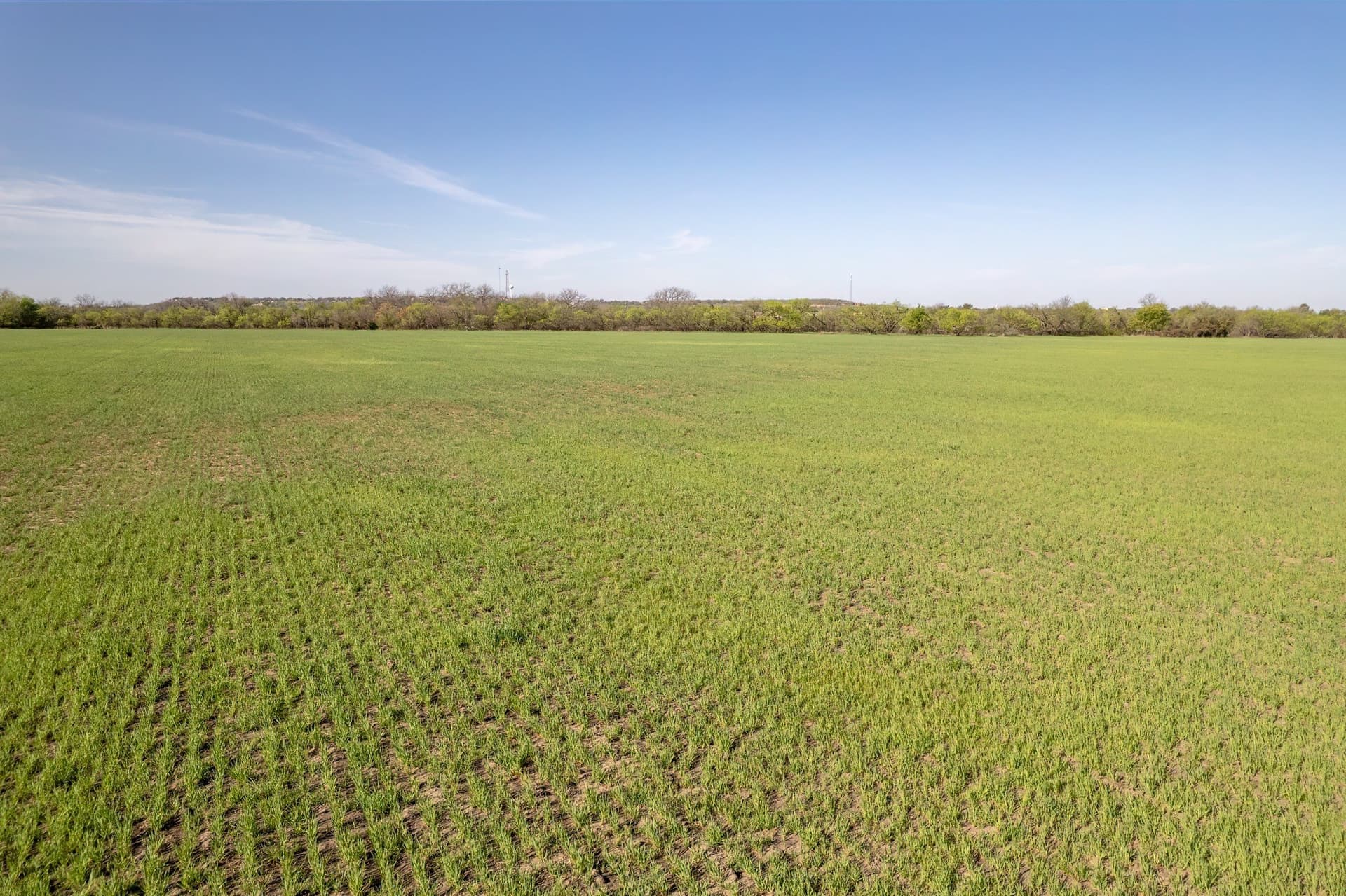 53.1 acres in Coleman County - photo 13