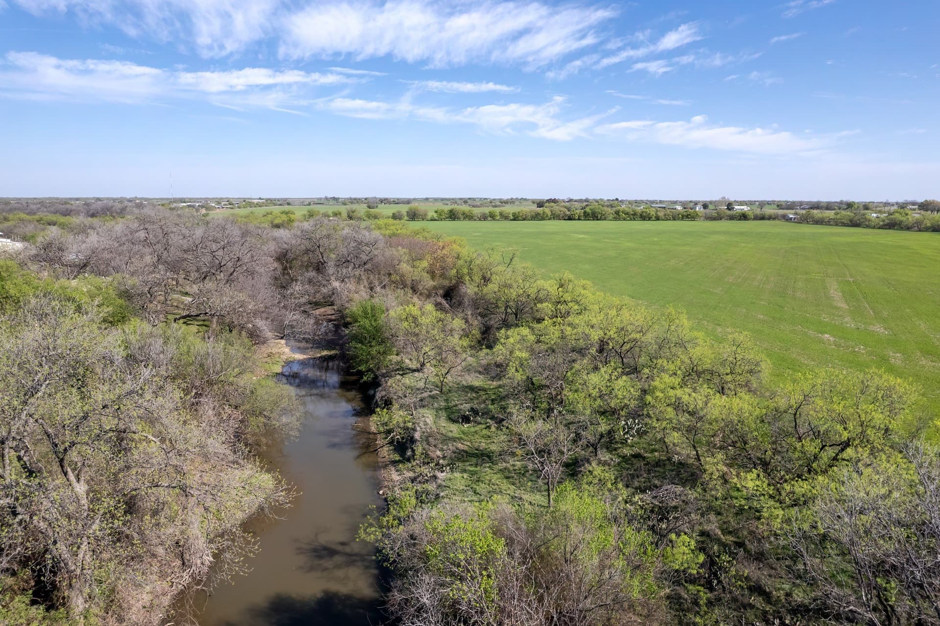 53.1 acres in Coleman County - photo 7