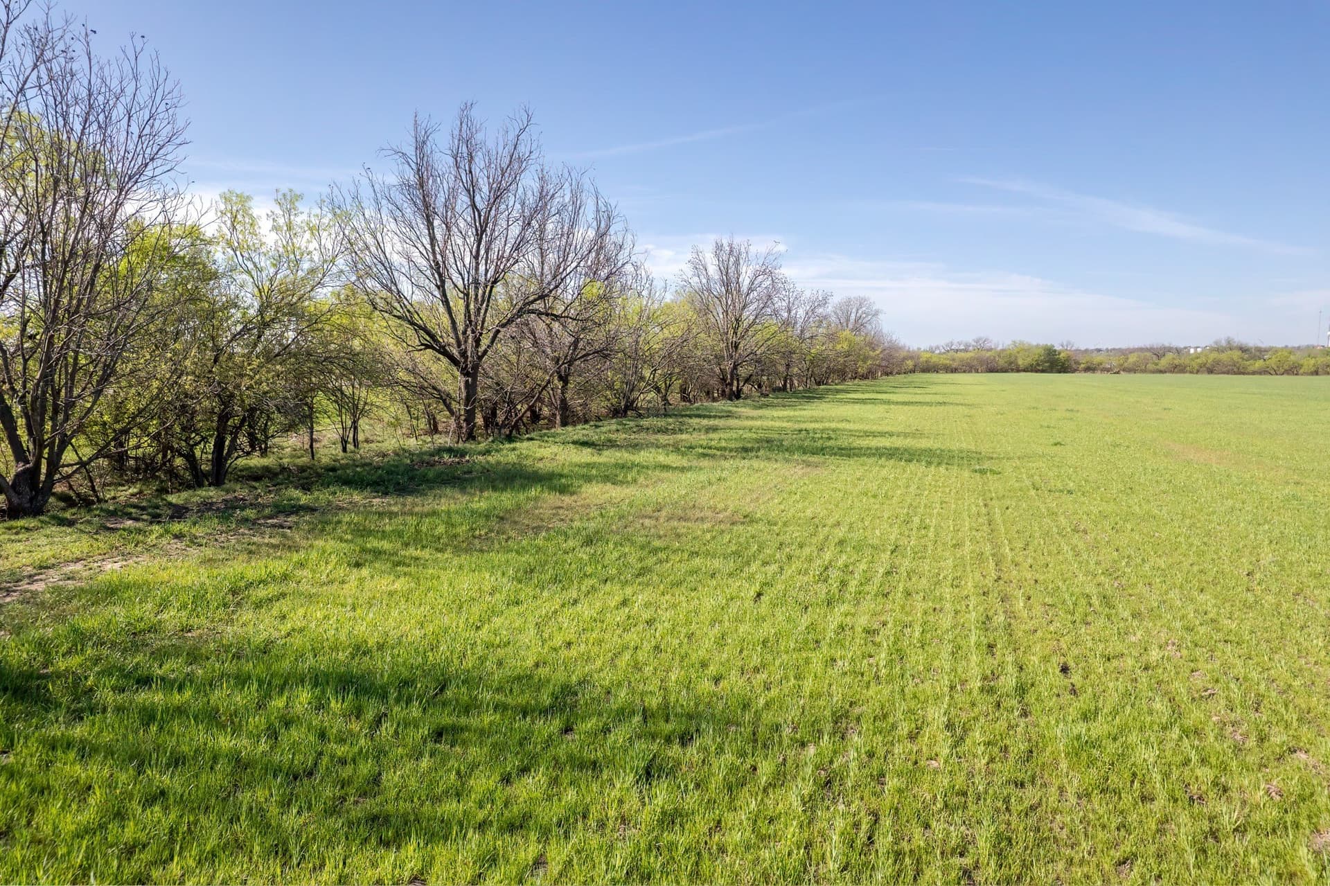 53.1 acres in Coleman County - photo 11