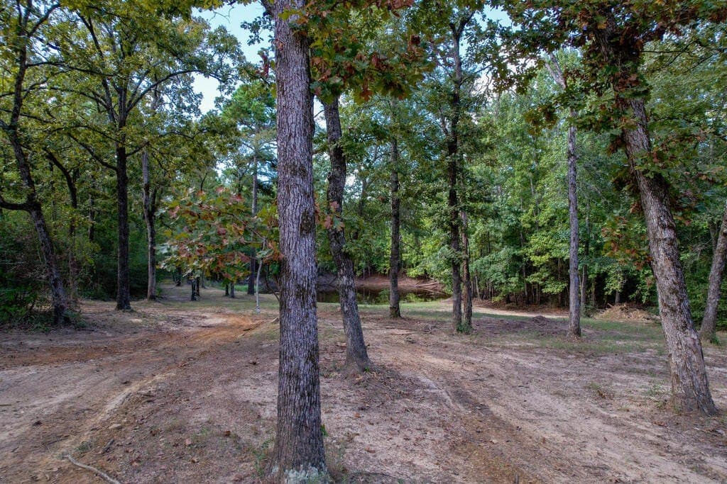 25 acres in LEON County - photo 38