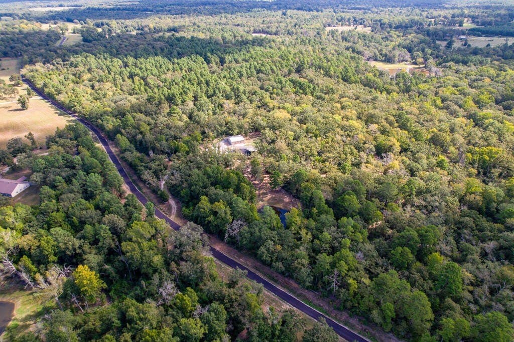 25 acres in LEON County - photo 50