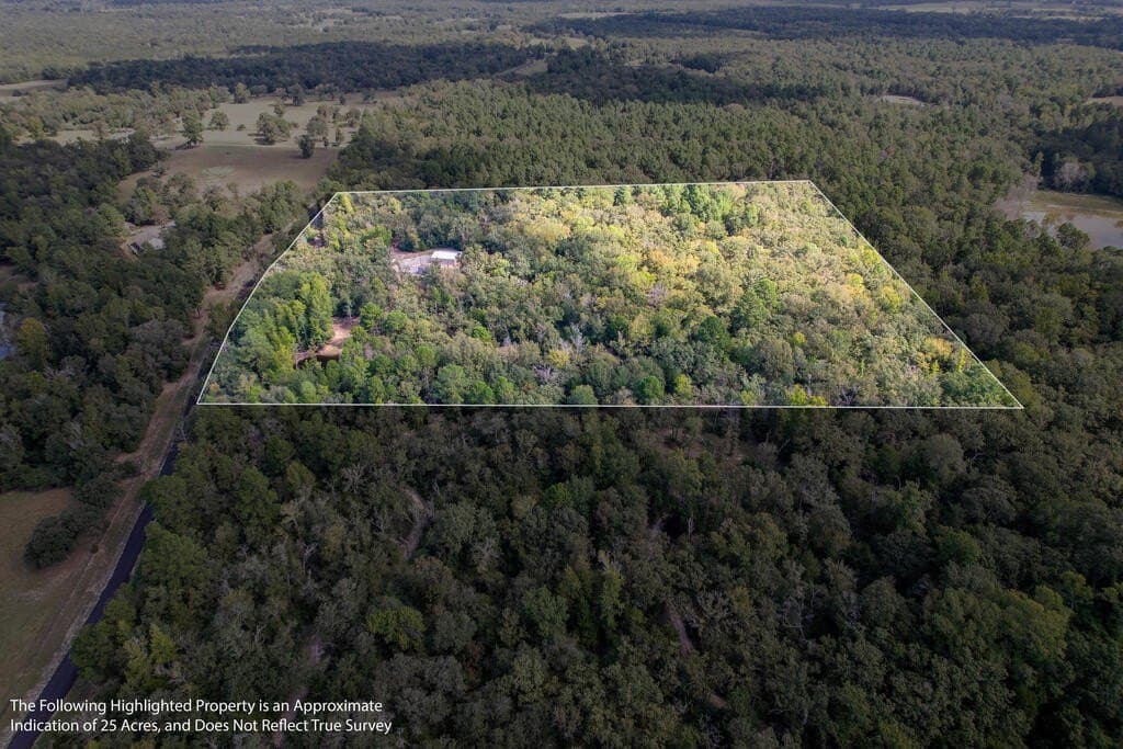 25 acres in LEON County - photo 46