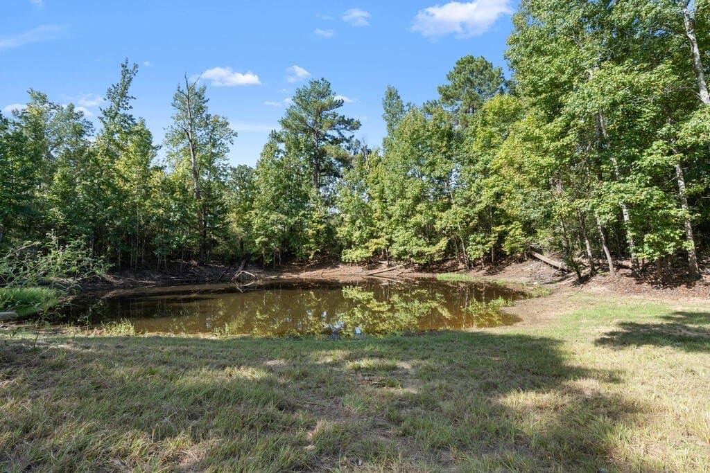 25 acres in LEON County - photo 40