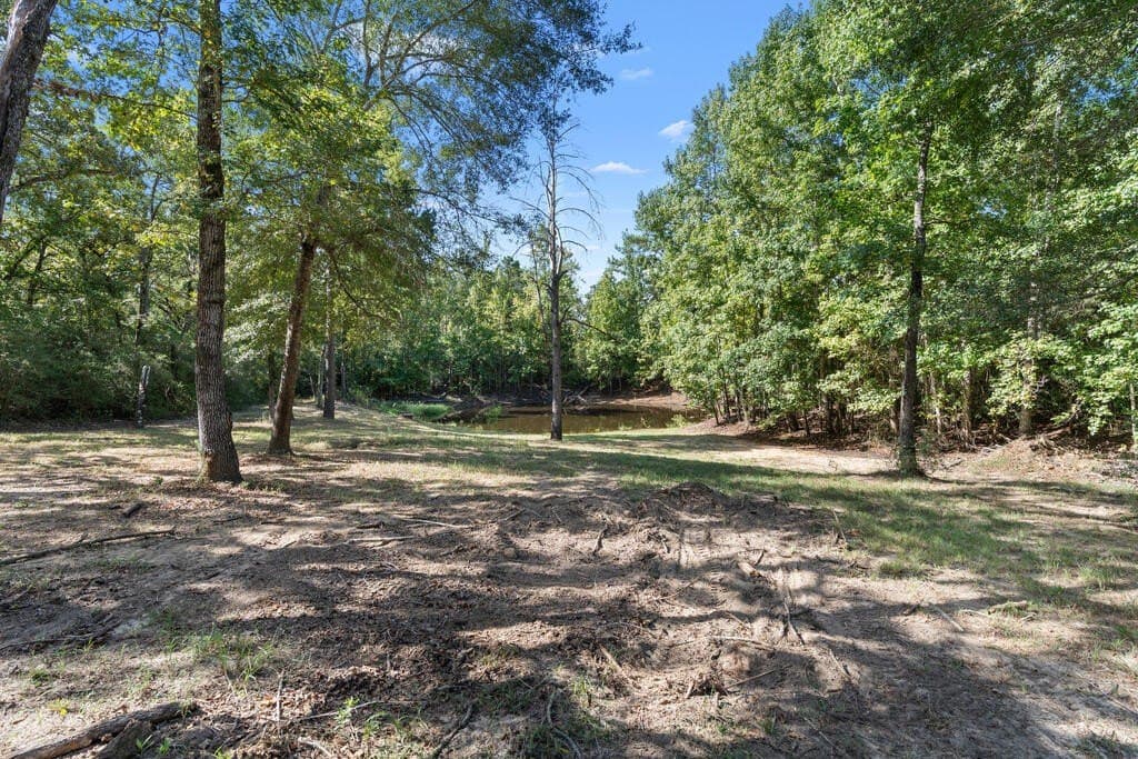 25 acres in LEON County - photo 37