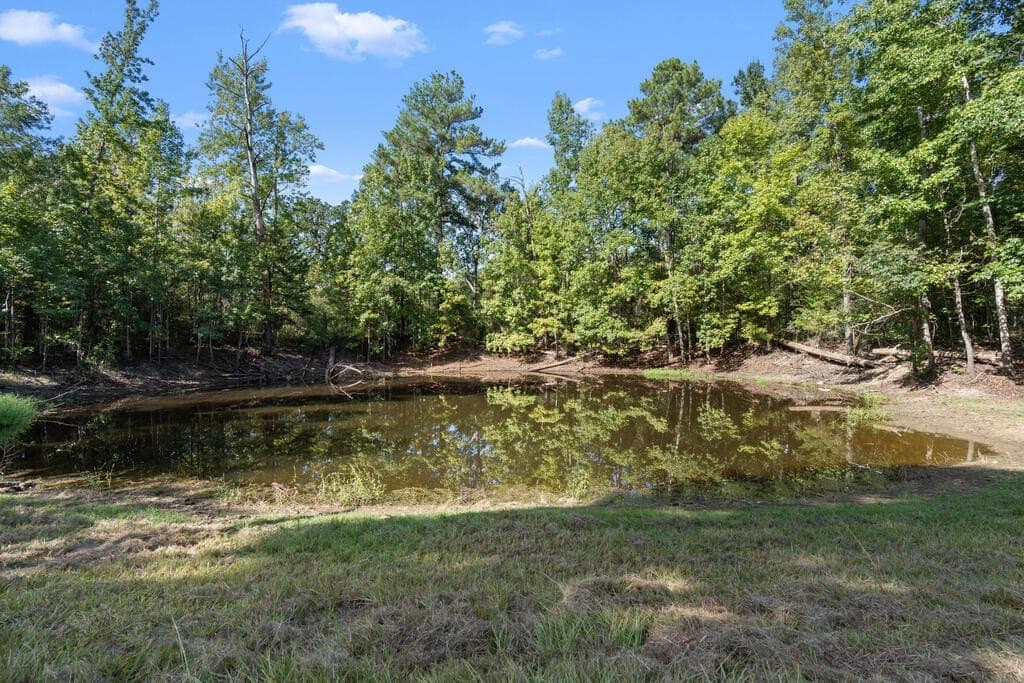 25 acres in LEON County - photo 41