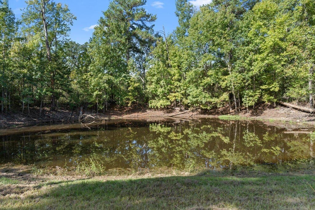 25 acres in LEON County - photo 42