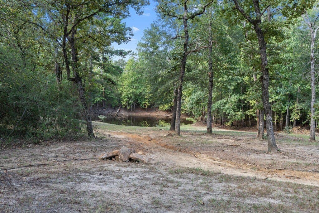 25 acres in LEON County - photo 39
