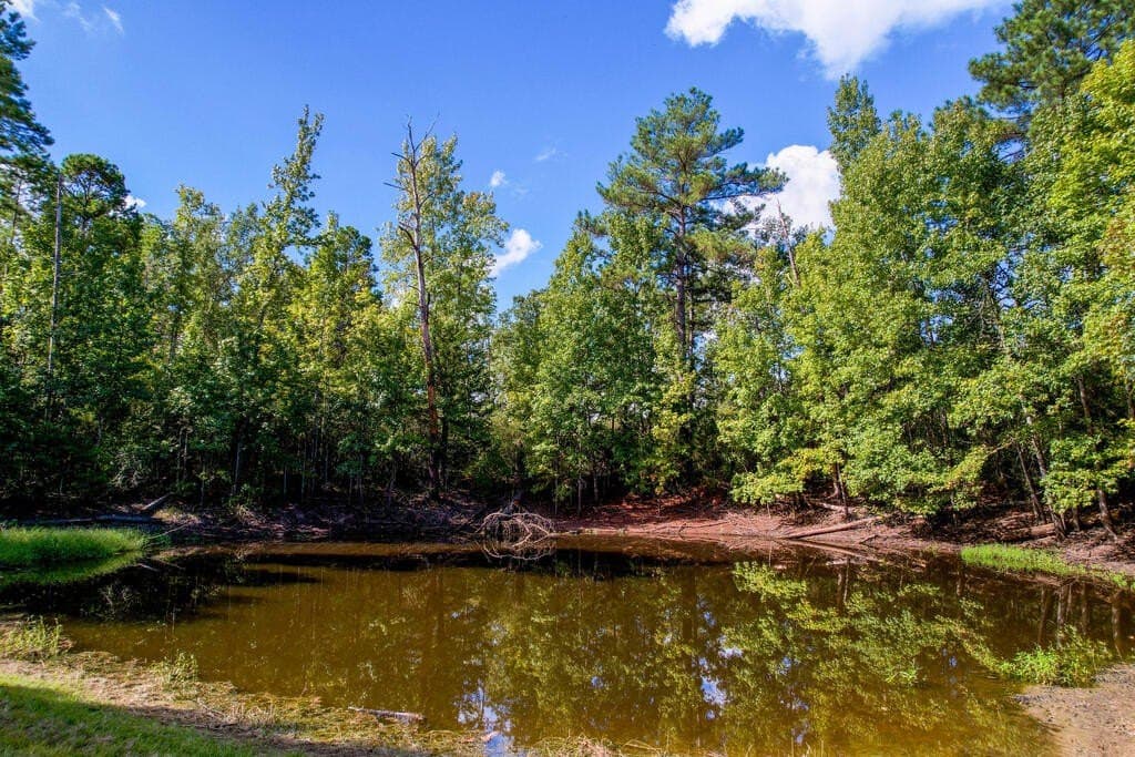25 acres in LEON County - photo 43