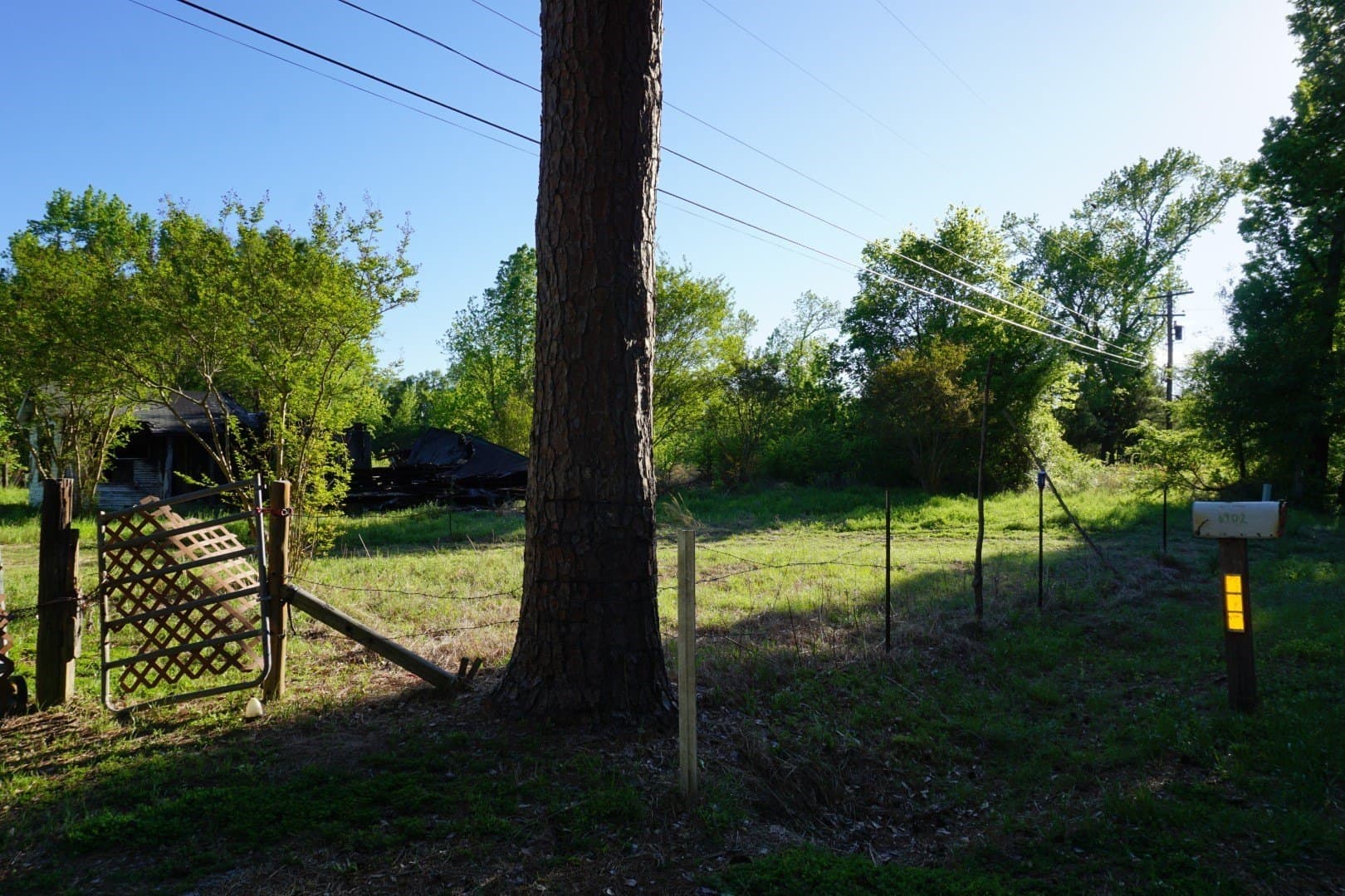 6 acres in Henderson County gallery image 4