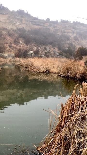 1.5 acres in Randall County gallery image 3