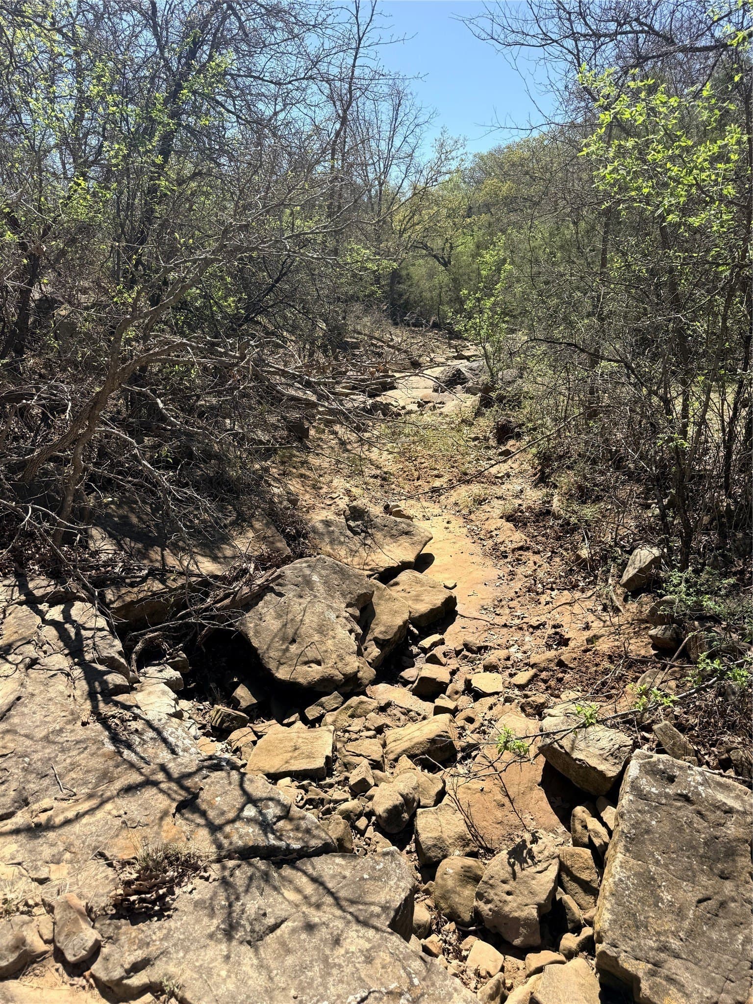 31.84 acres in Jack County - photo 10