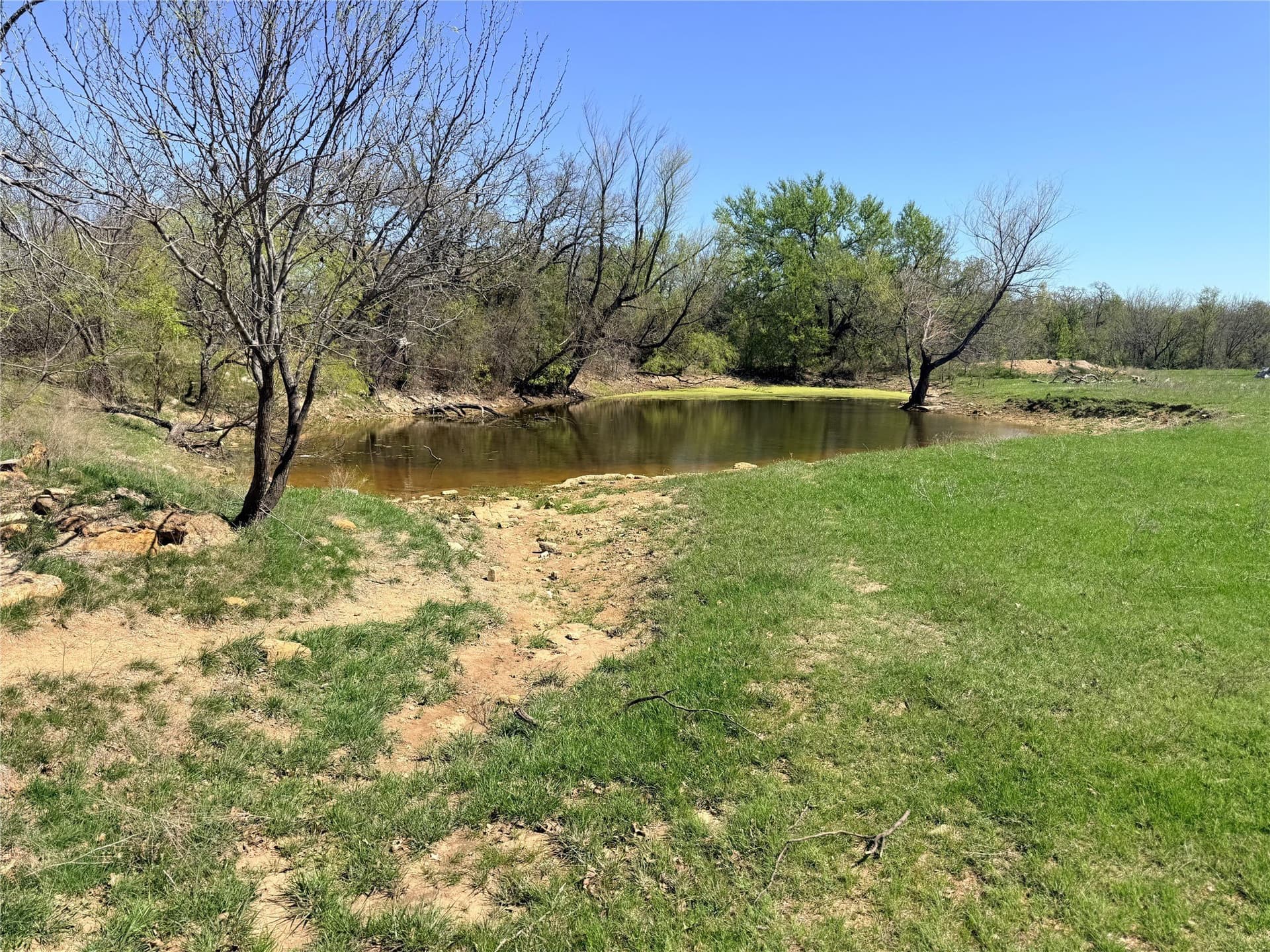 31.84 acres in Jack County - photo 12