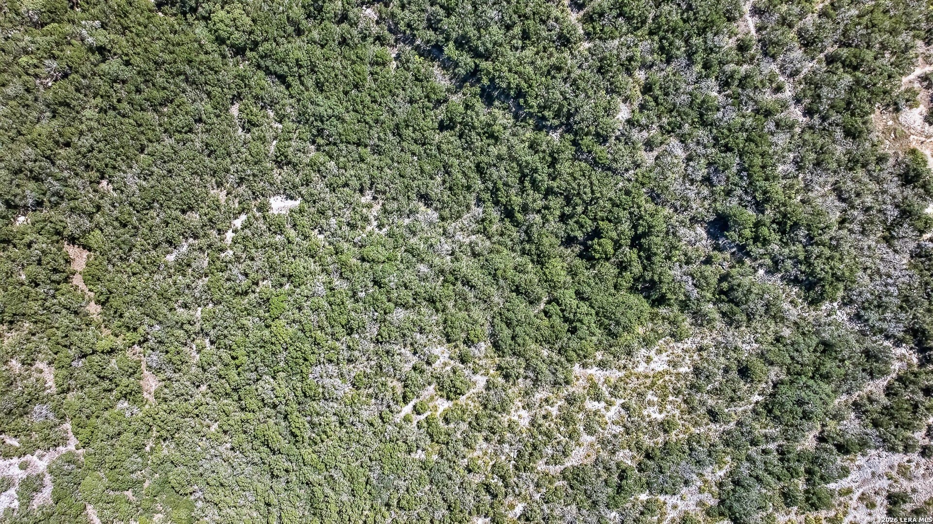 17.37 acres in Medina County - photo 14