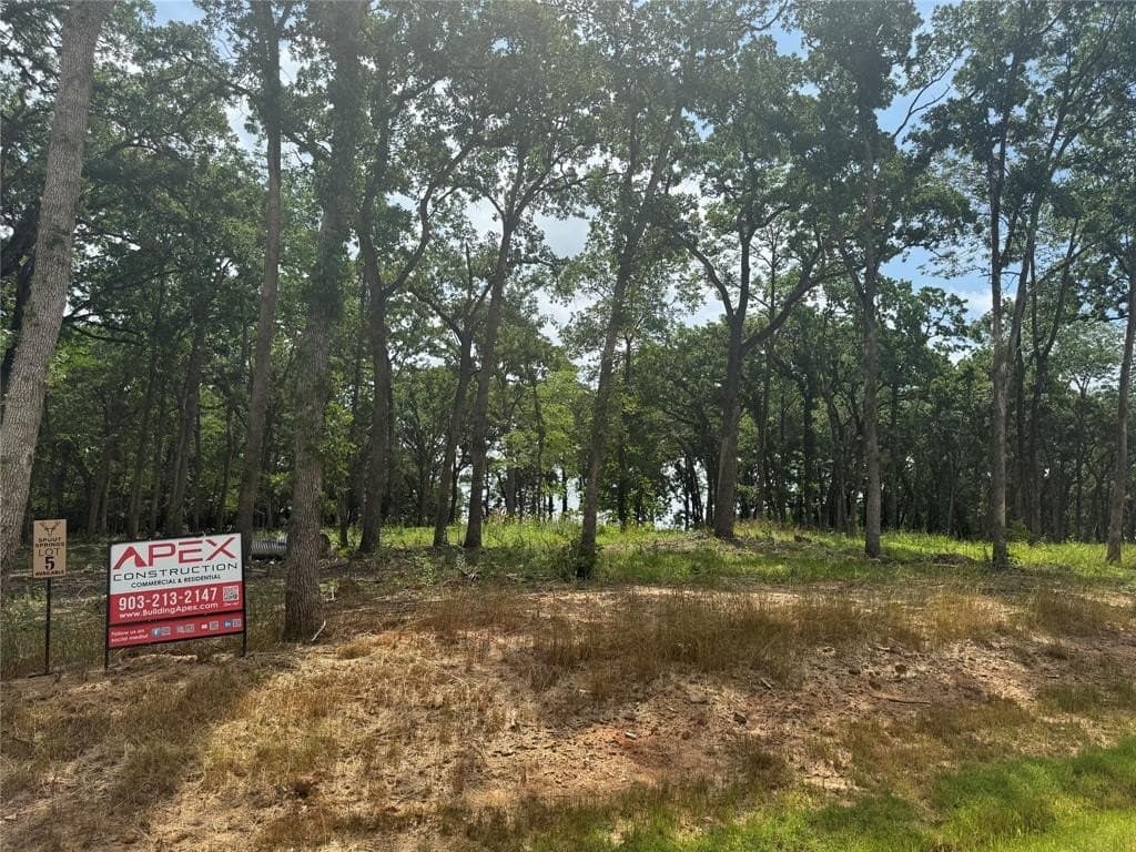 1 acres in Grayson County gallery image 3