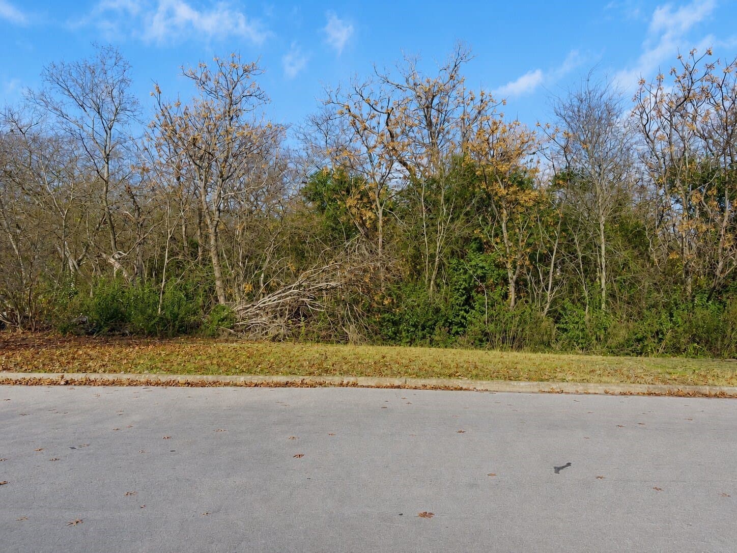 0.8 acres in McLennan County - photo 18