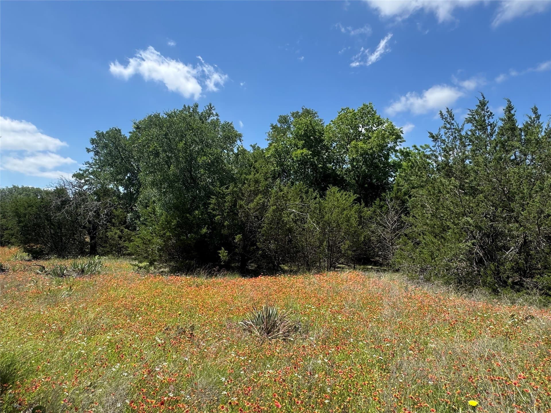 17.96 acres in Parker County - photo 37