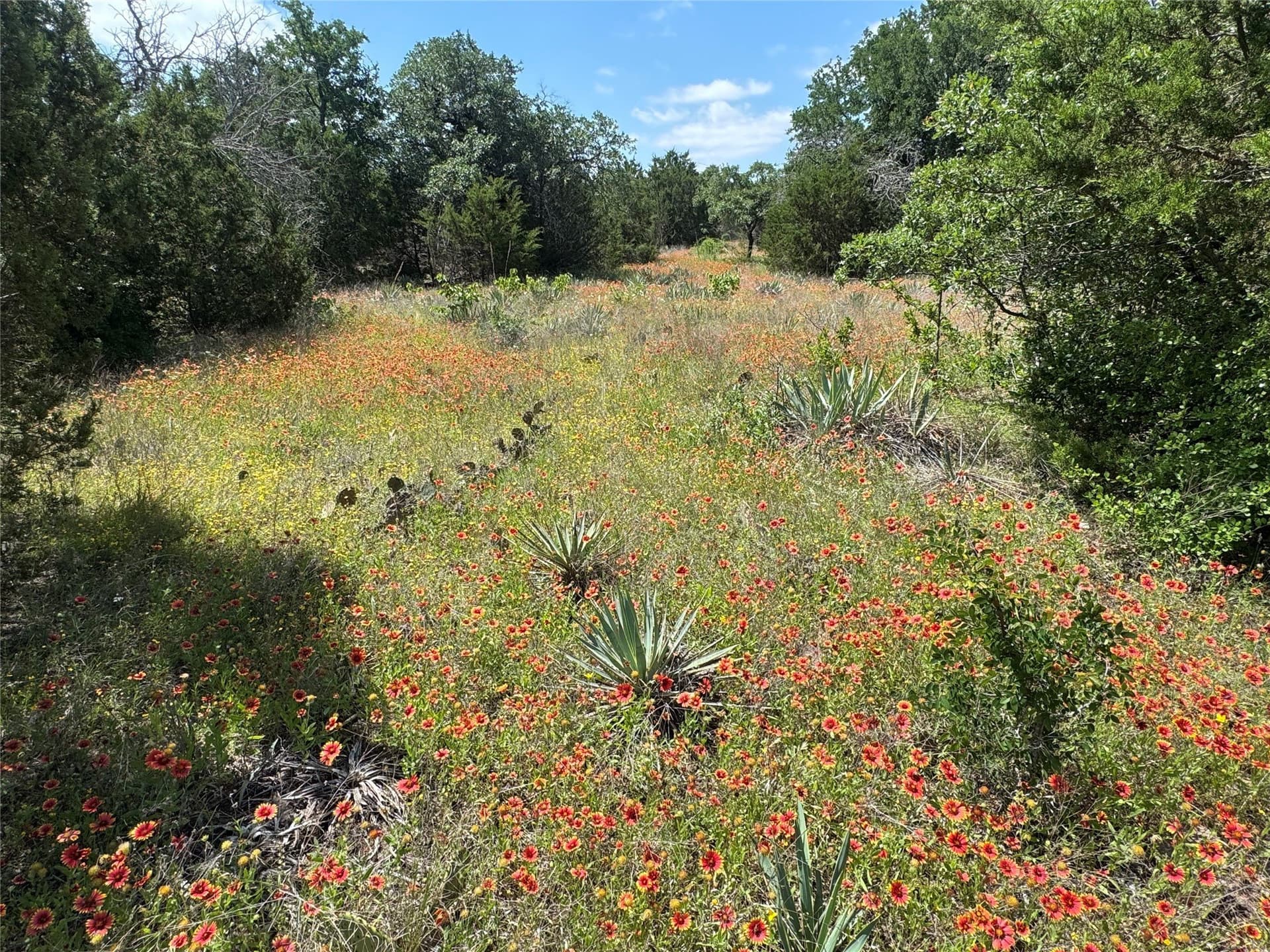 17.96 acres in Parker County - photo 35