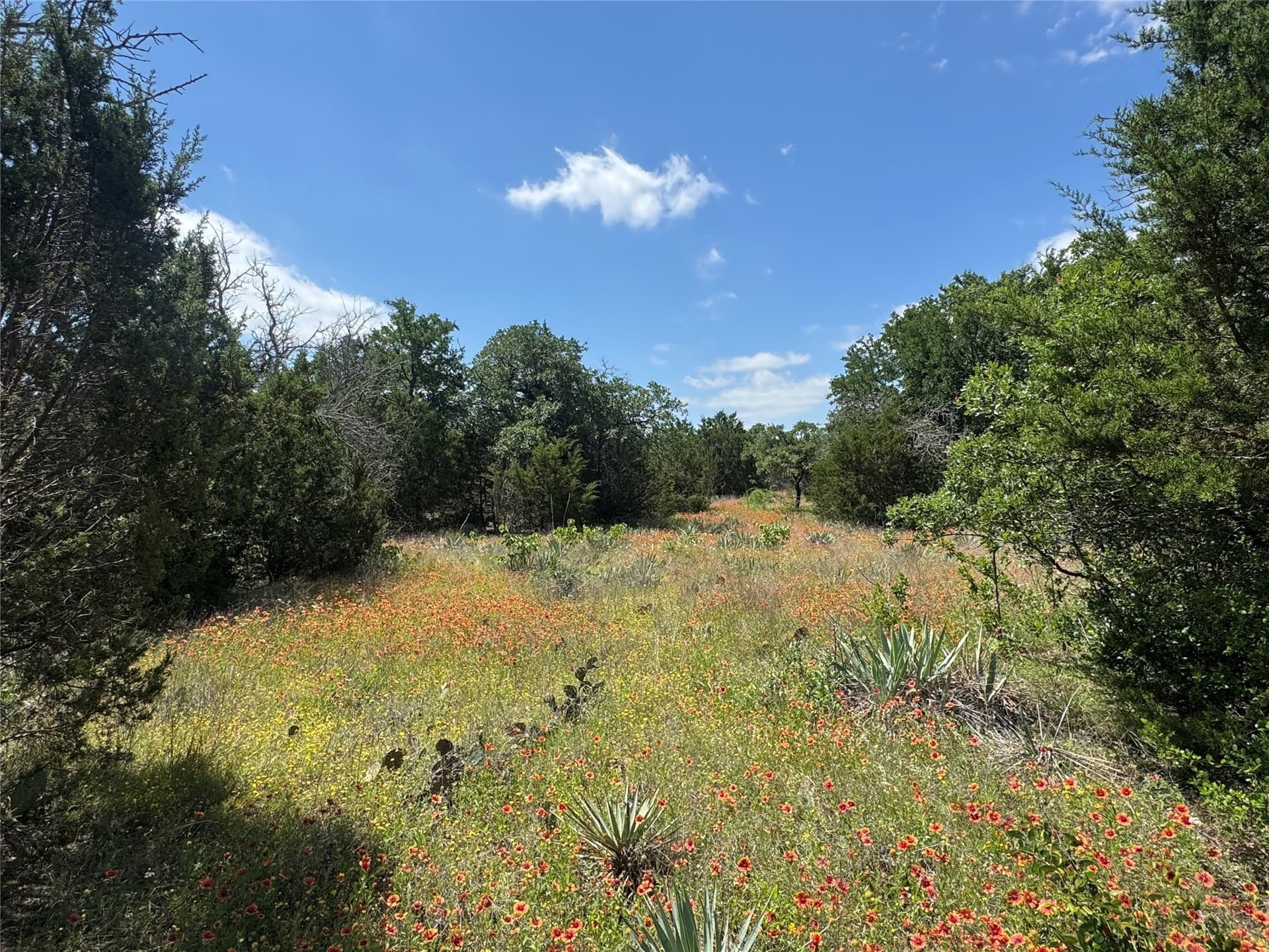 17.96 acres in Parker County - photo 34
