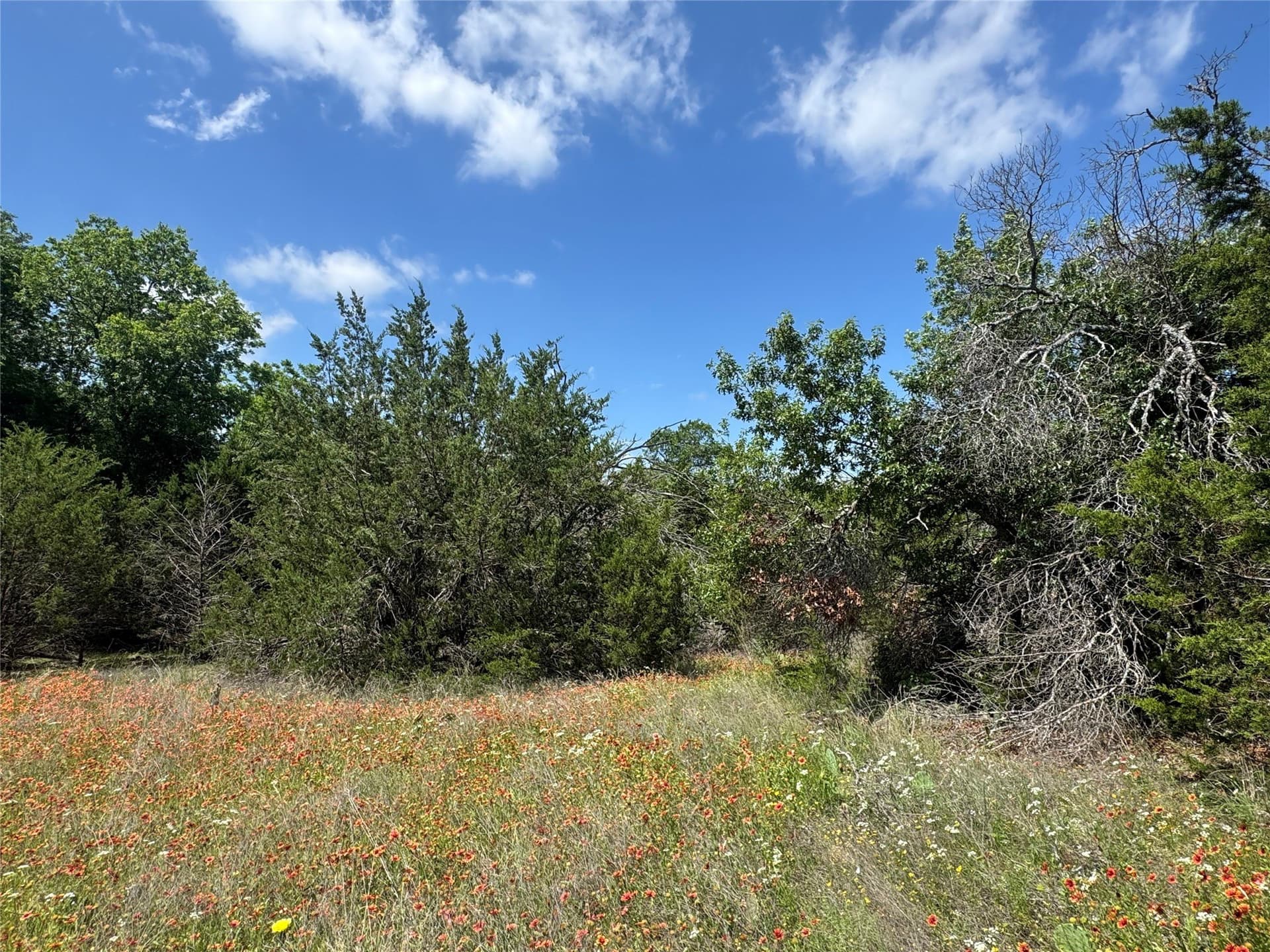 17.96 acres in Parker County - photo 36