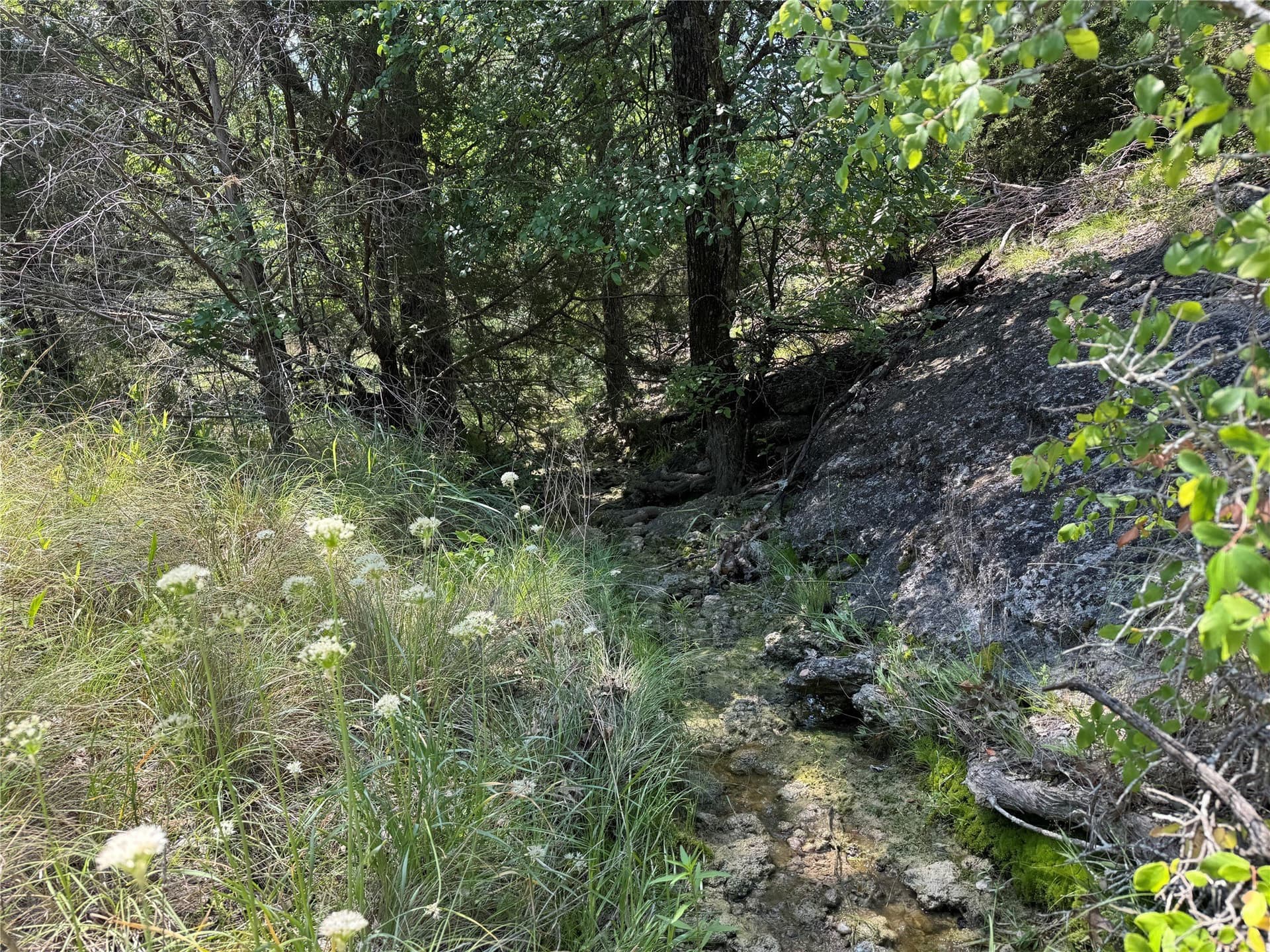 17.96 acres in Parker County - photo 2