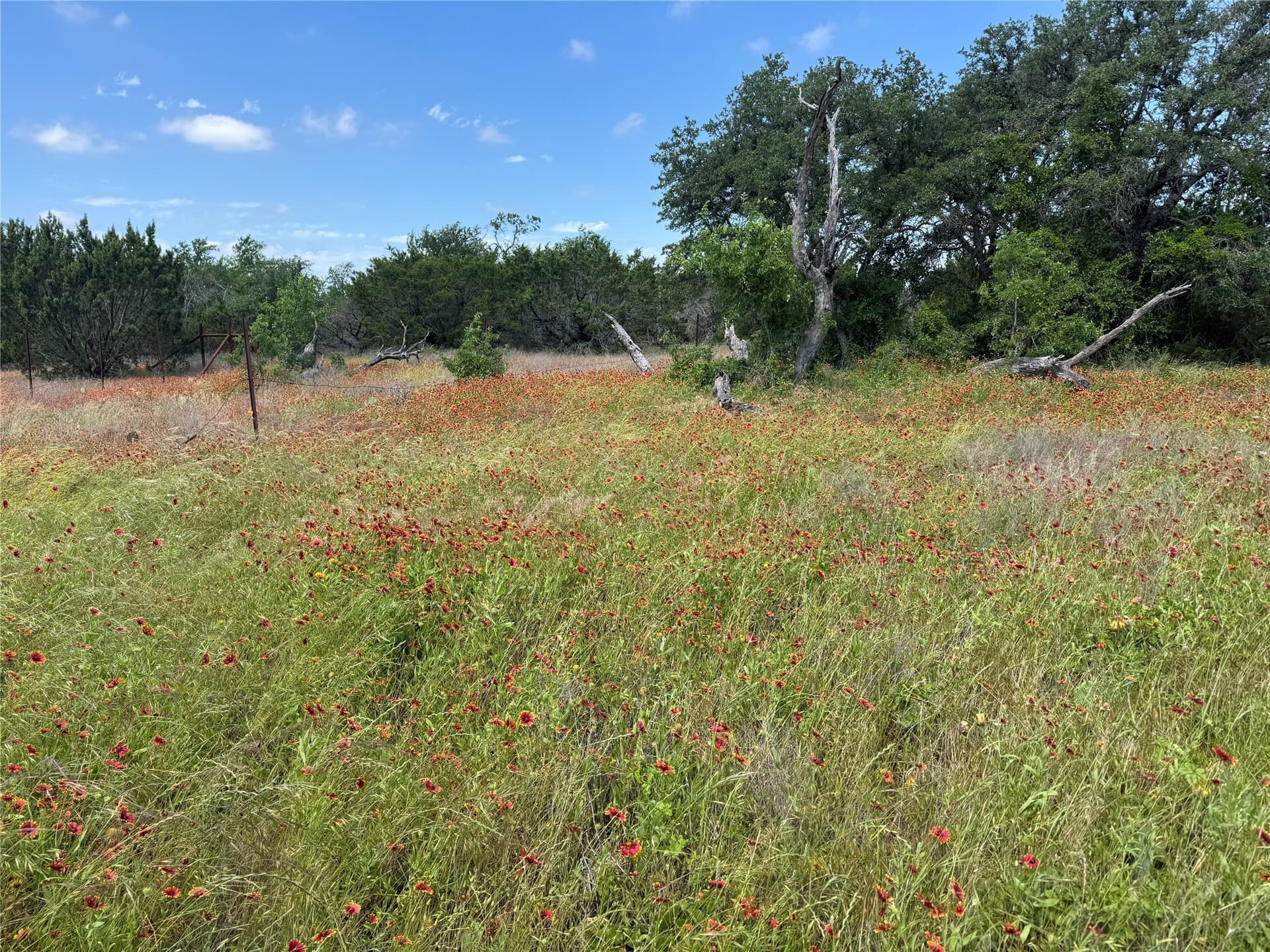 17.96 acres in Parker County - photo 27