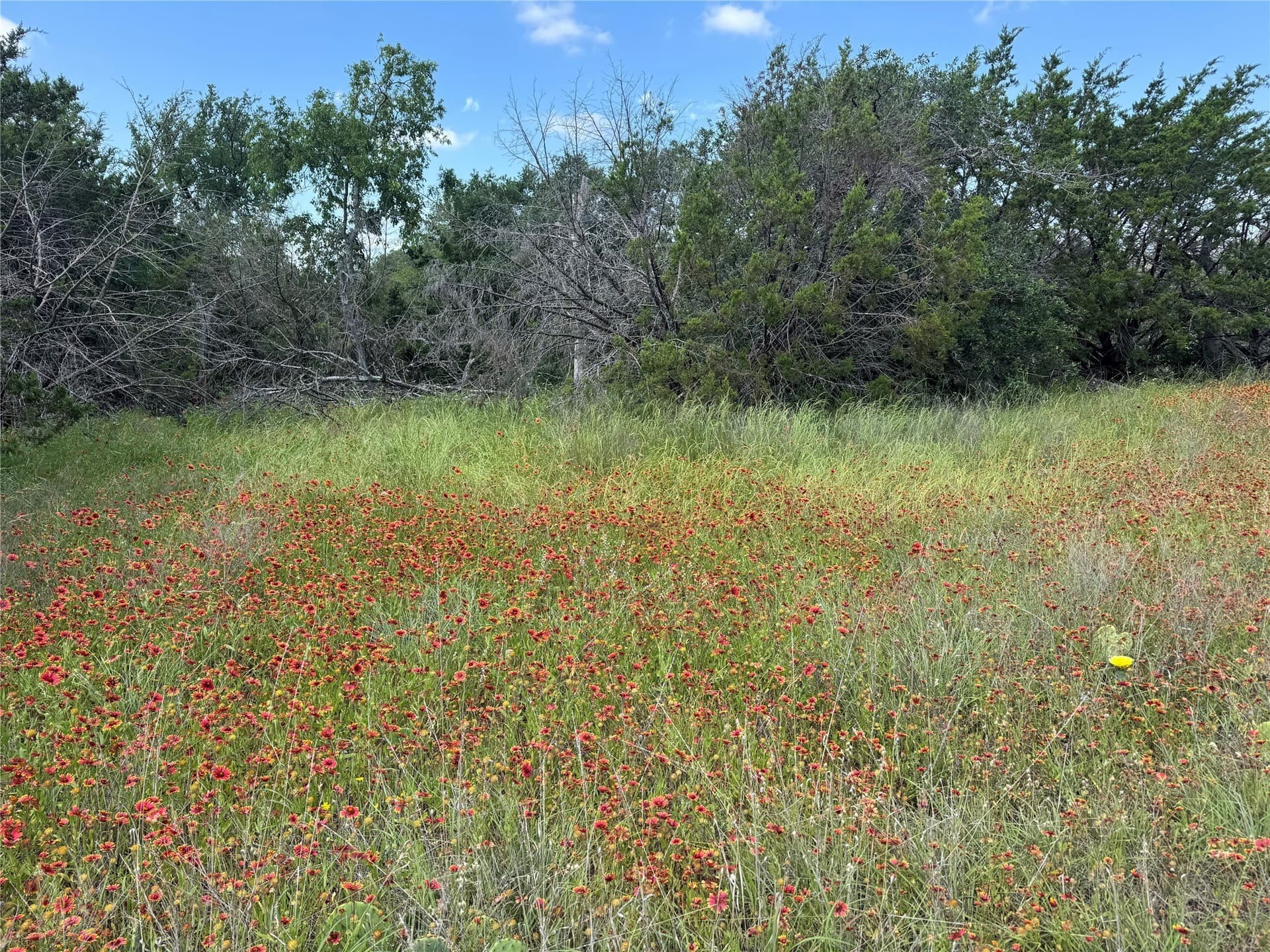 17.96 acres in Parker County - photo 29