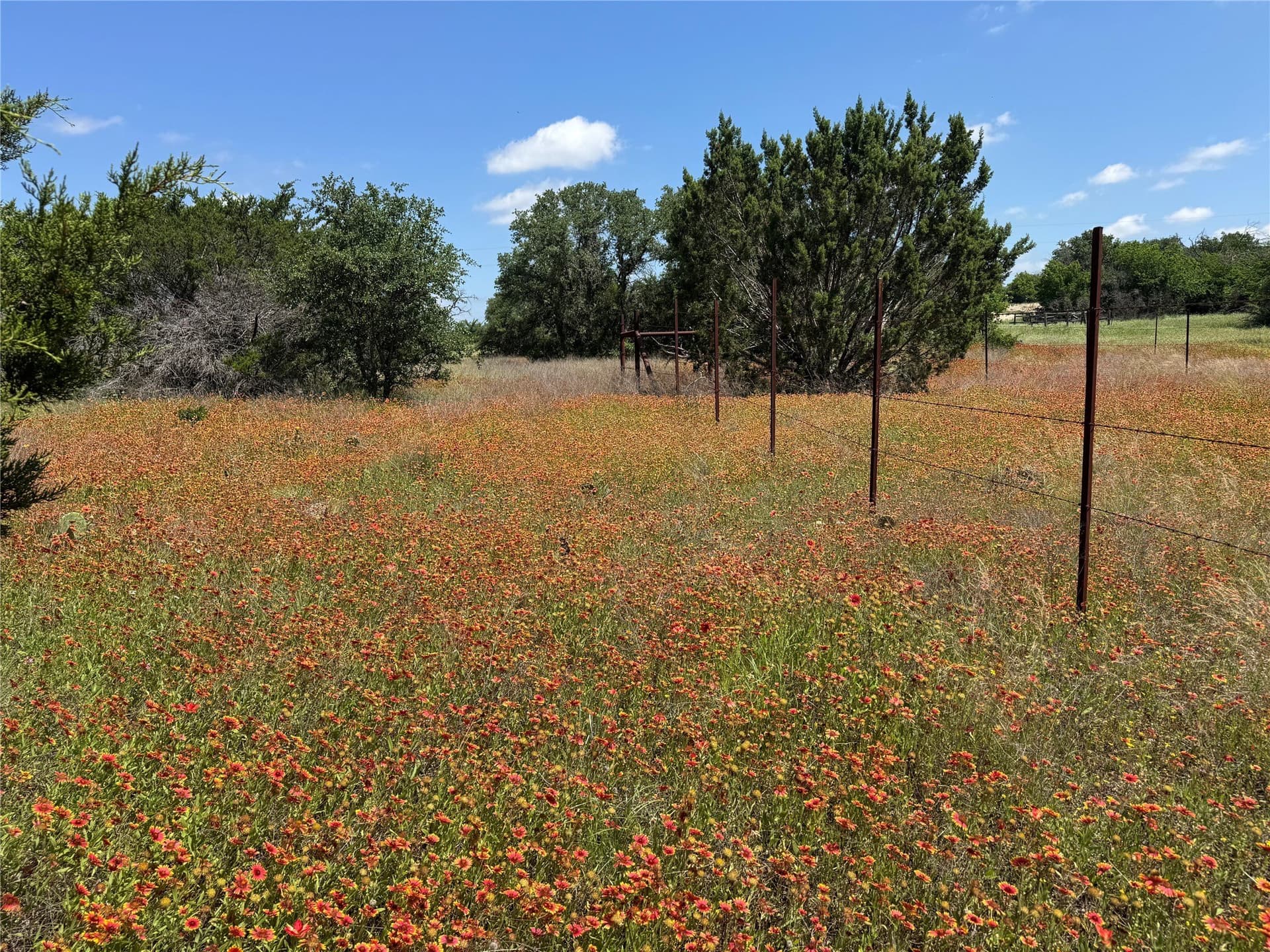 17.96 acres in Parker County - photo 40