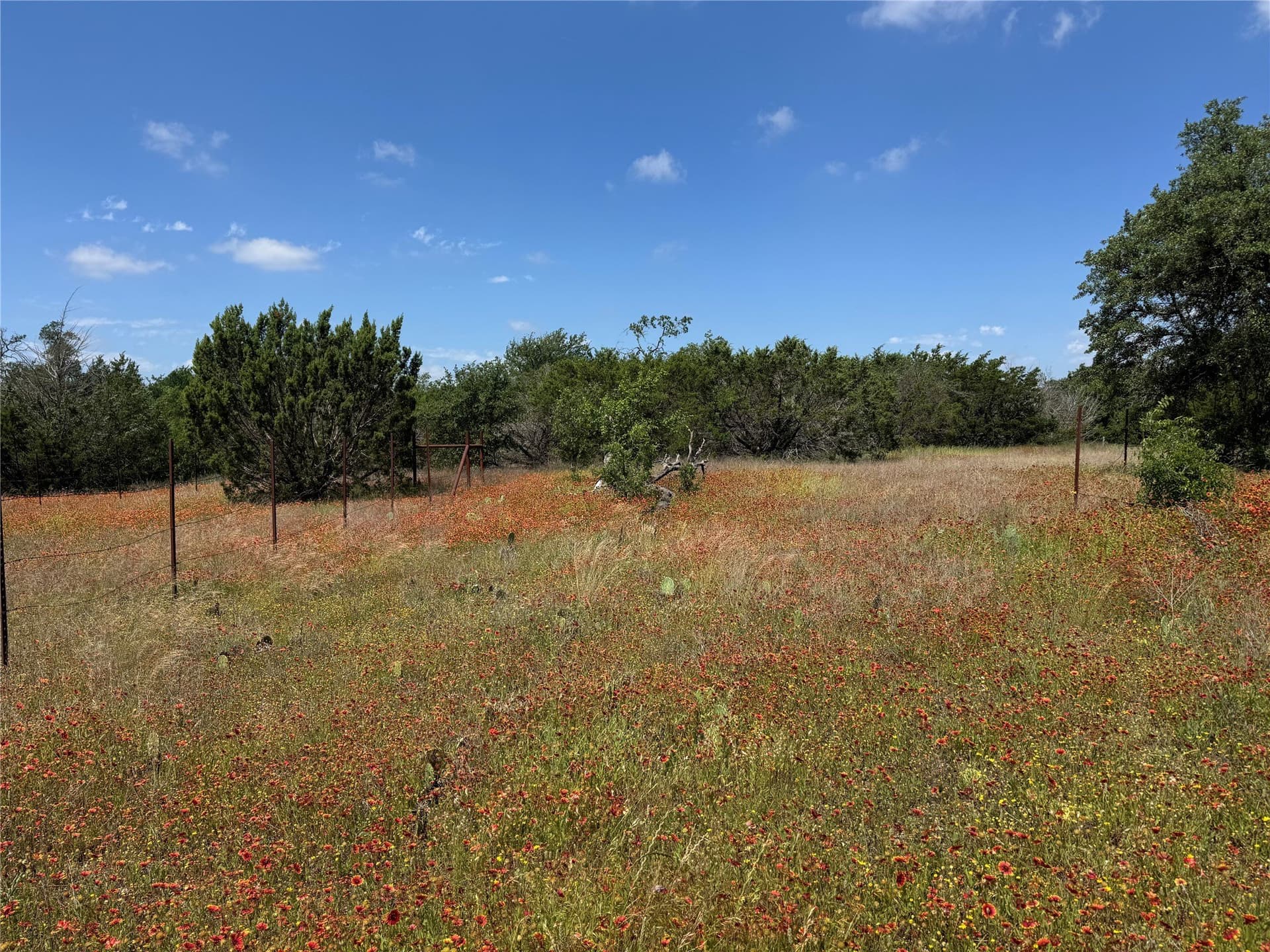17.96 acres in Parker County - photo 28