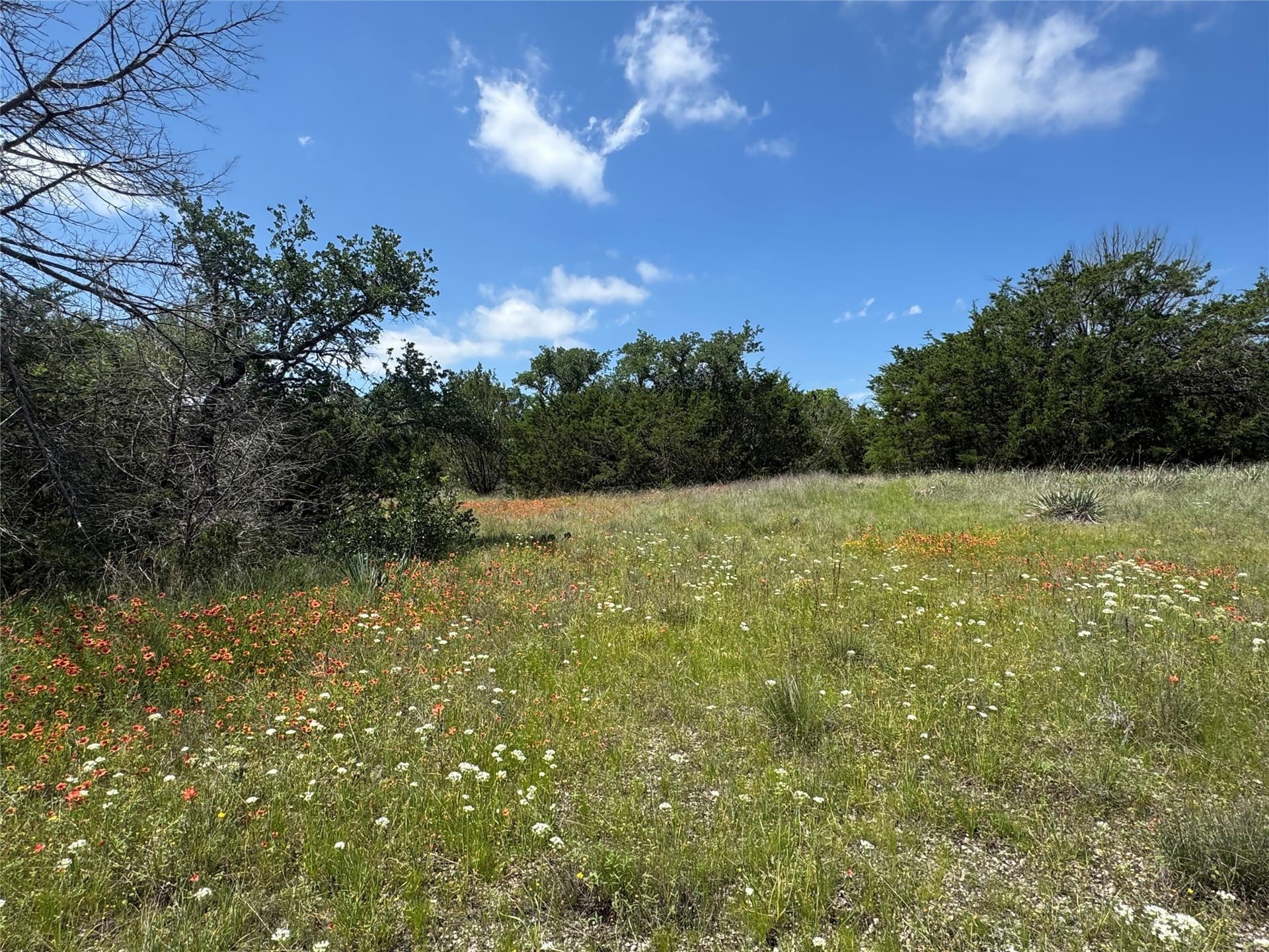 17.96 acres in Parker County - photo 32