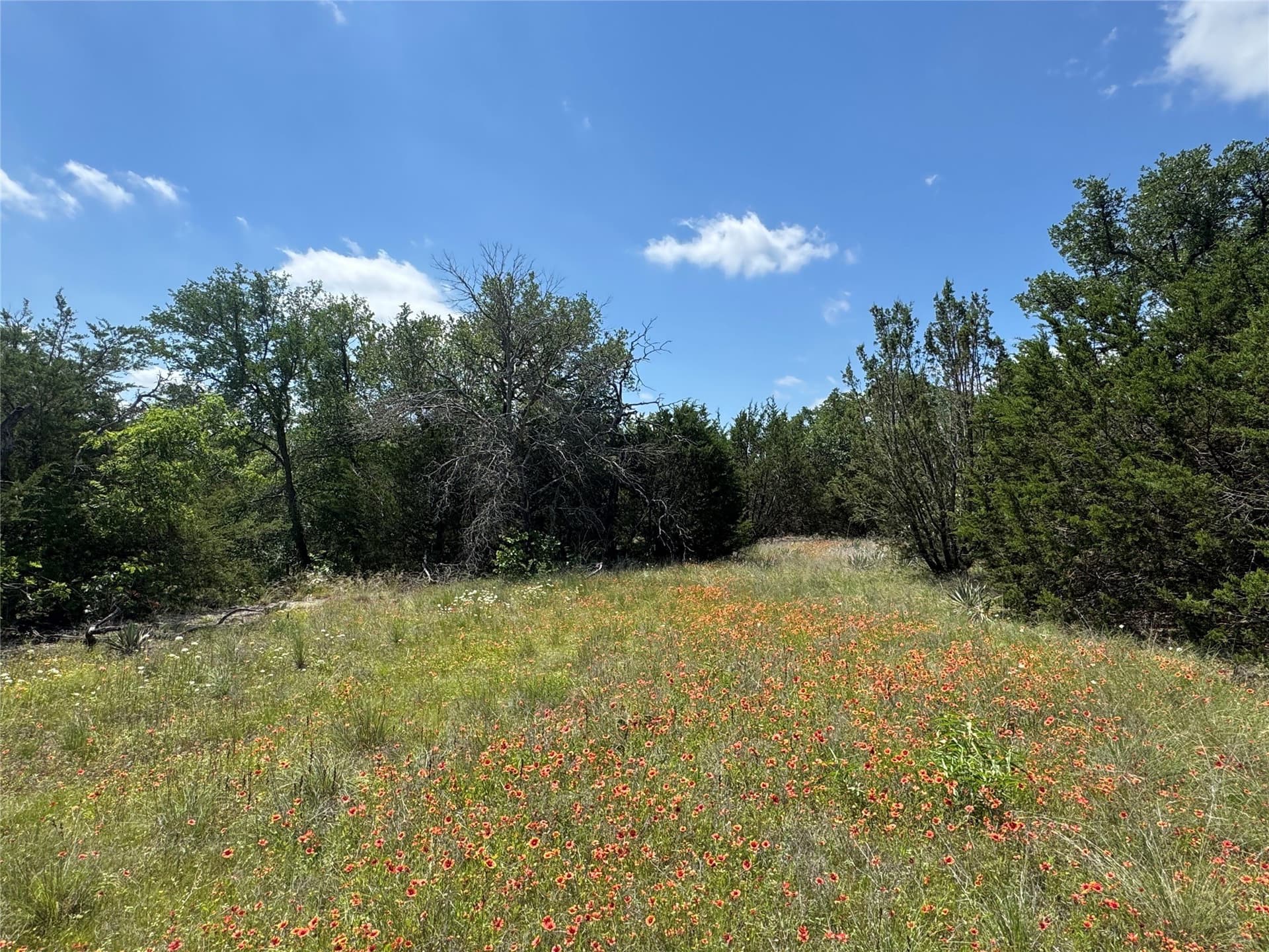 17.96 acres in Parker County - photo 33