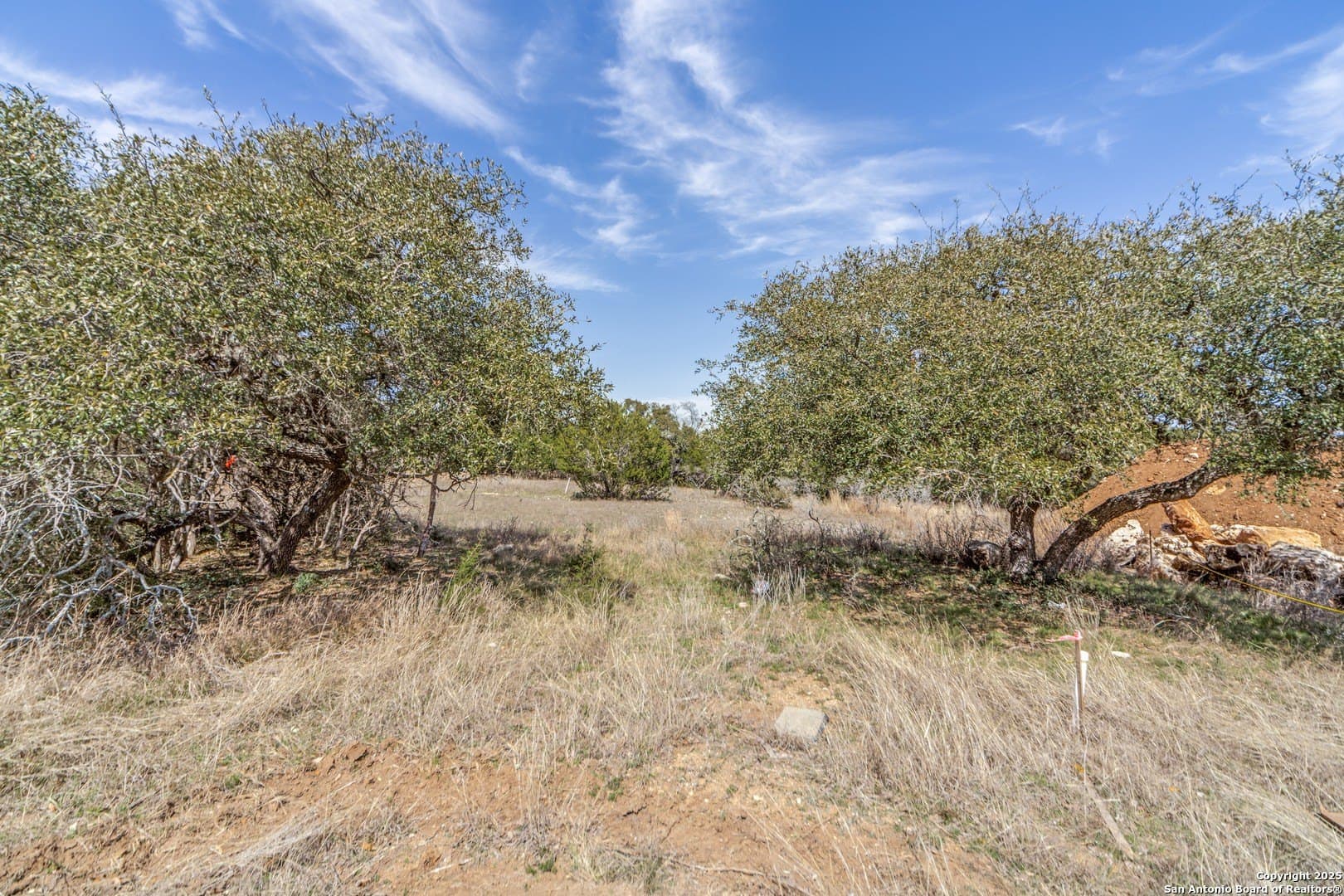 2 acres in Kendall County - photo 15