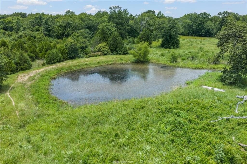 10 acres in Leon County - photo 27