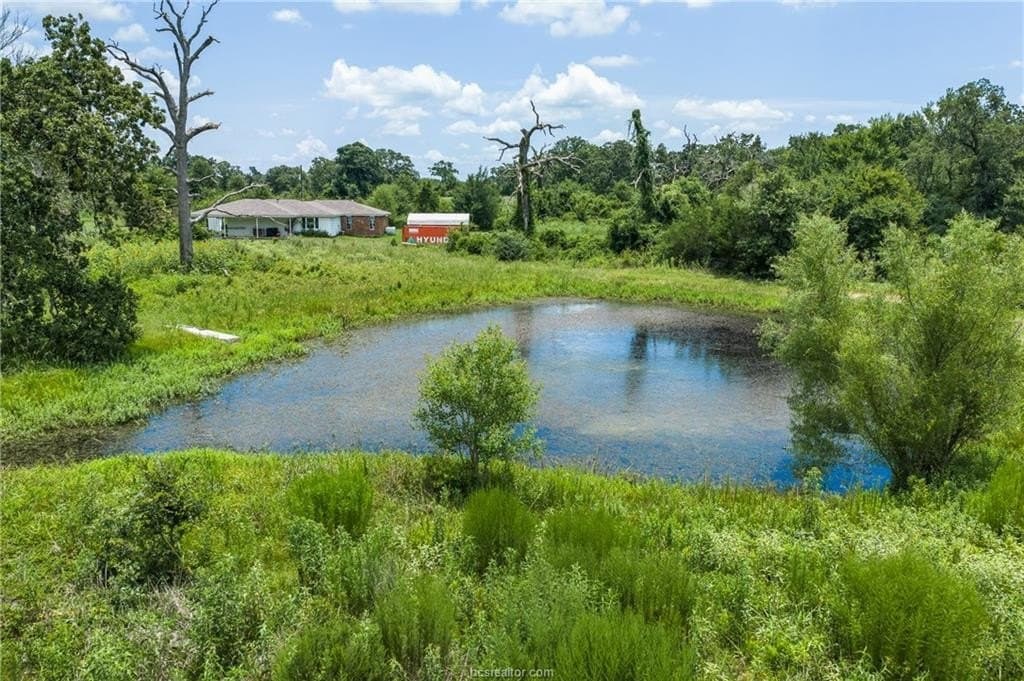 10 acres in Leon County - photo 26