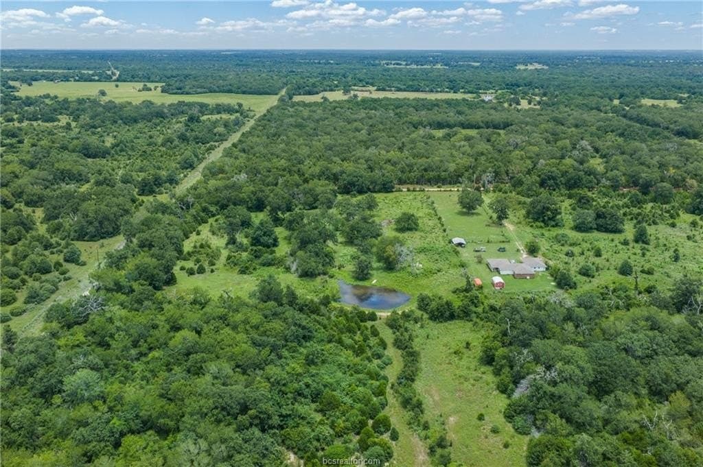 10 acres in Leon County - photo 21