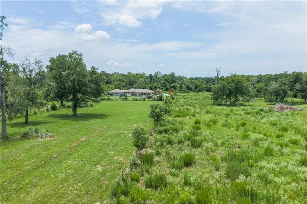 10 acres in Leon County - photo 31