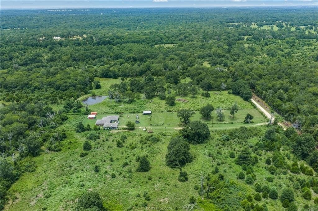 10 acres in Leon County - photo 22