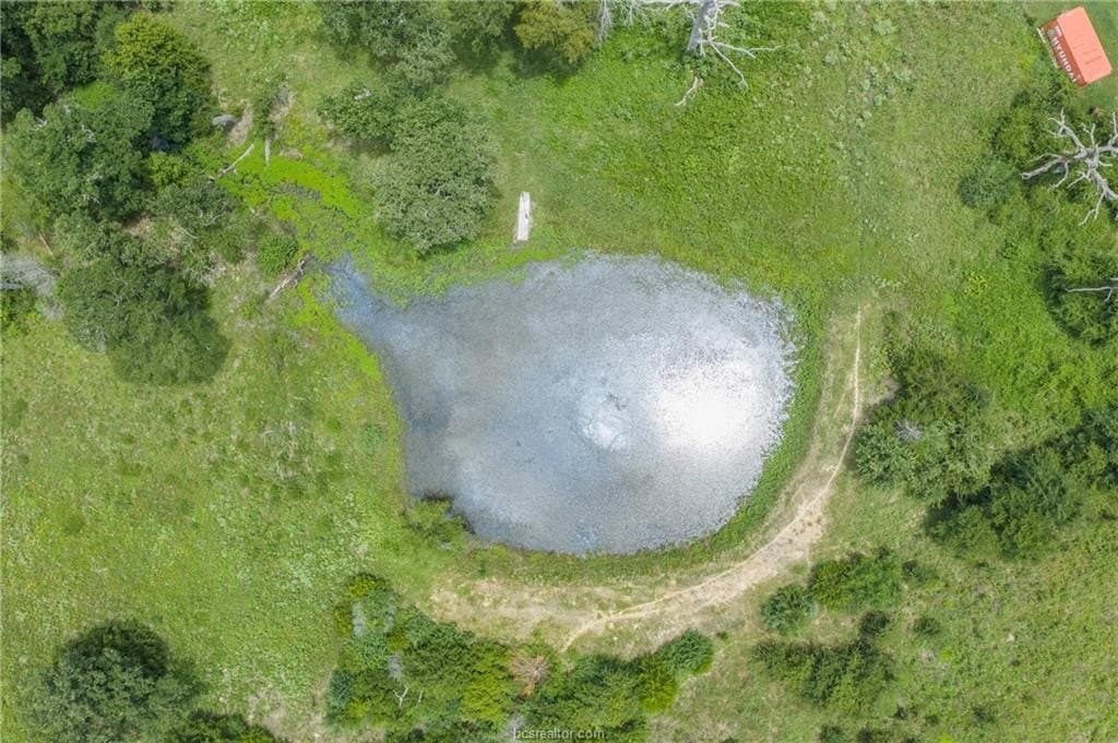 10 acres in Leon County - photo 24