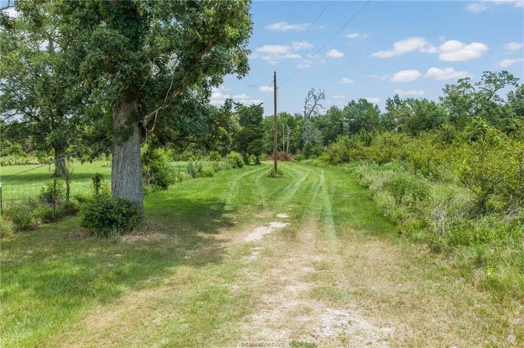 10 acres in Leon County - photo 29
