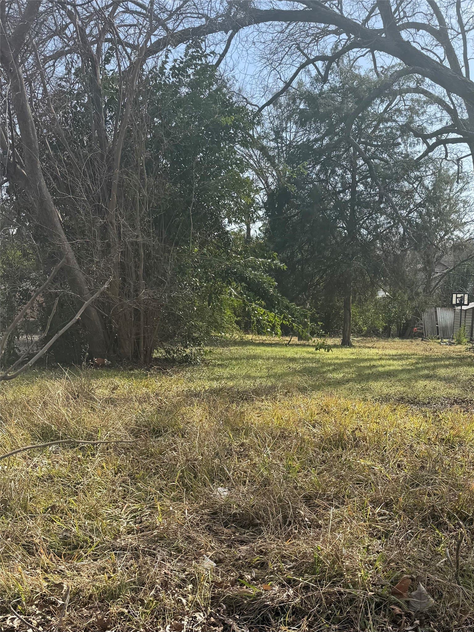 0.12 acres in McLennan County - photo 2
