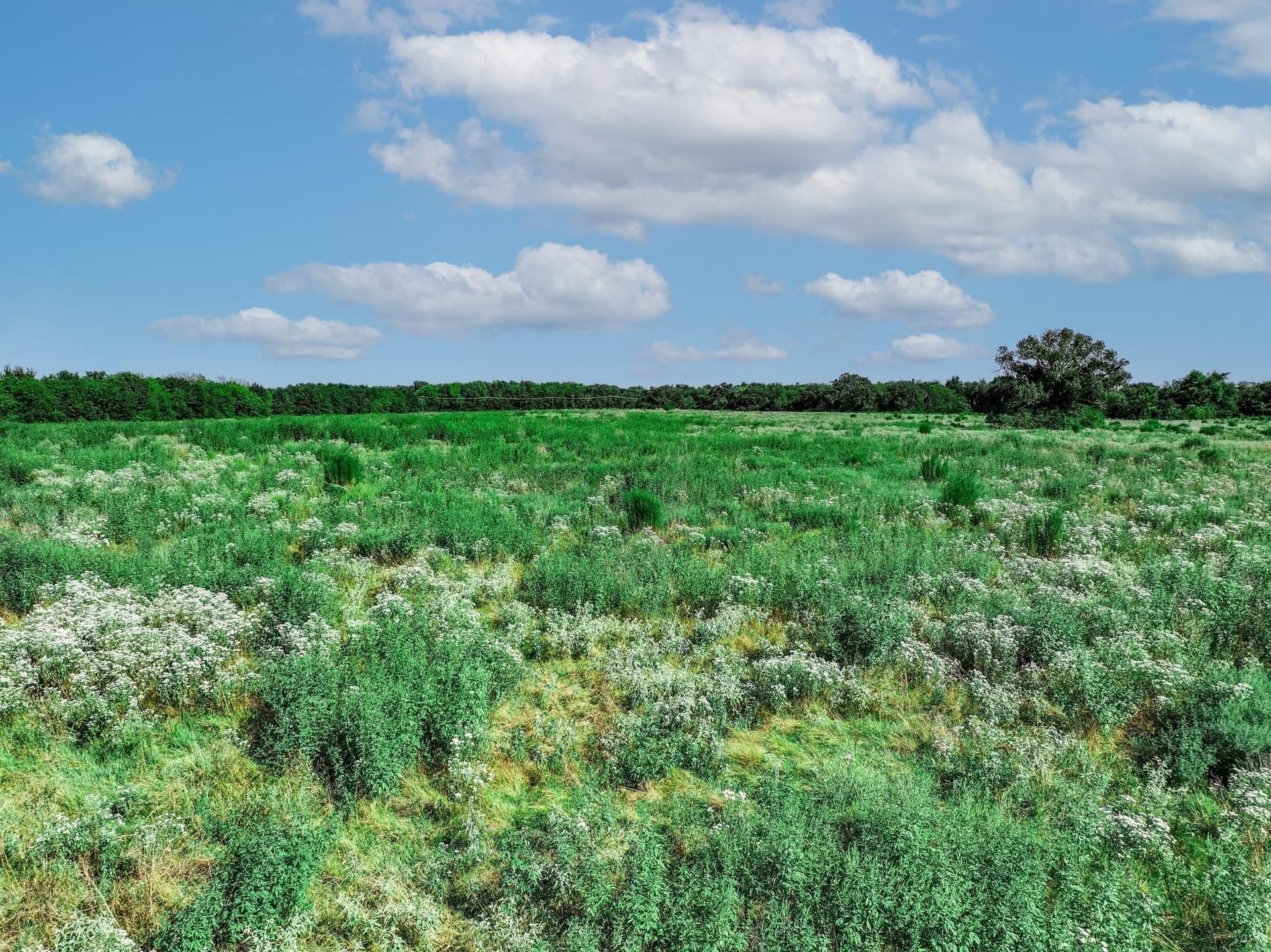 12.69 acres in Hopkins County - photo 8