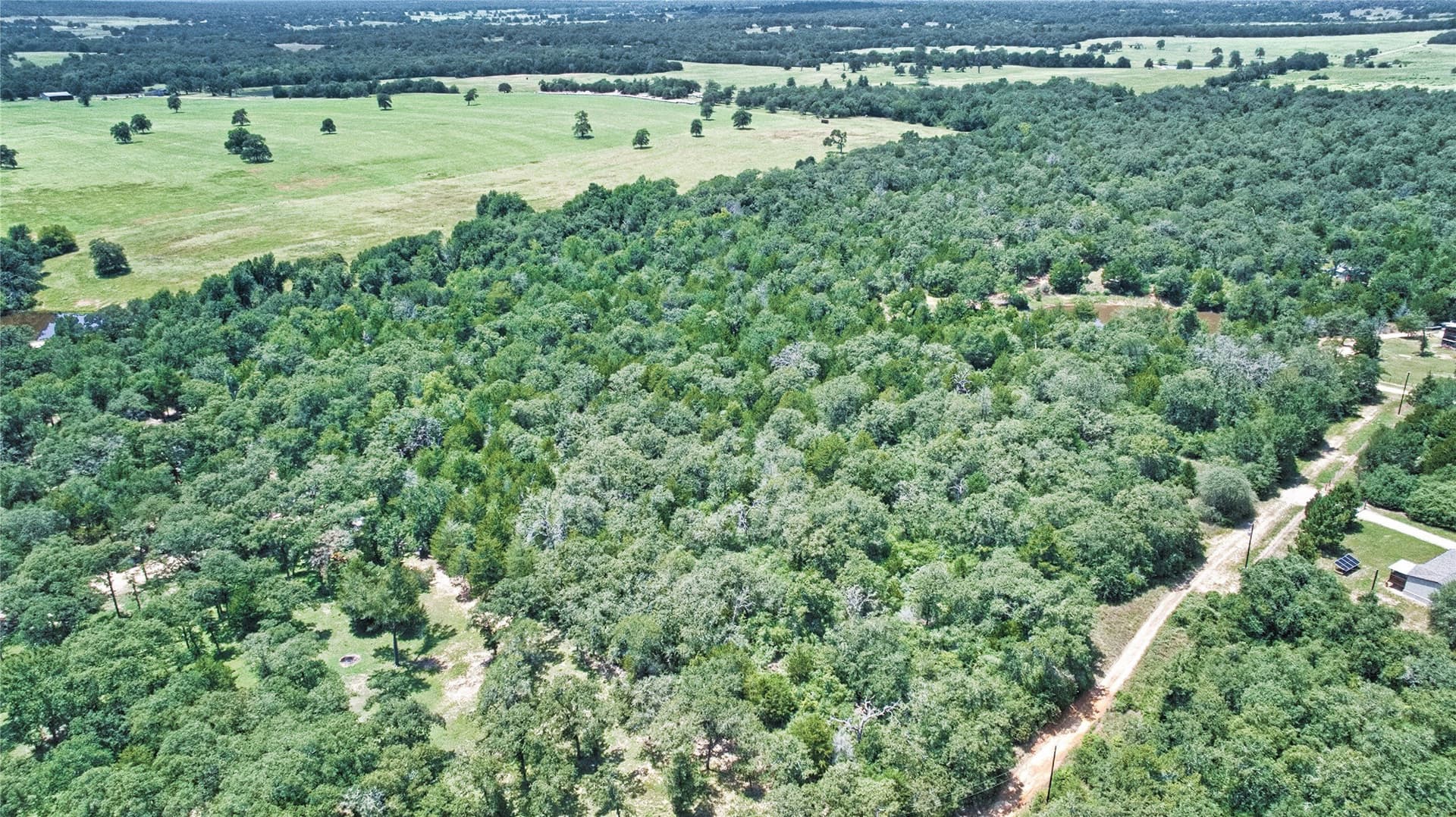 6.88 acres in Burleson County - photo 13