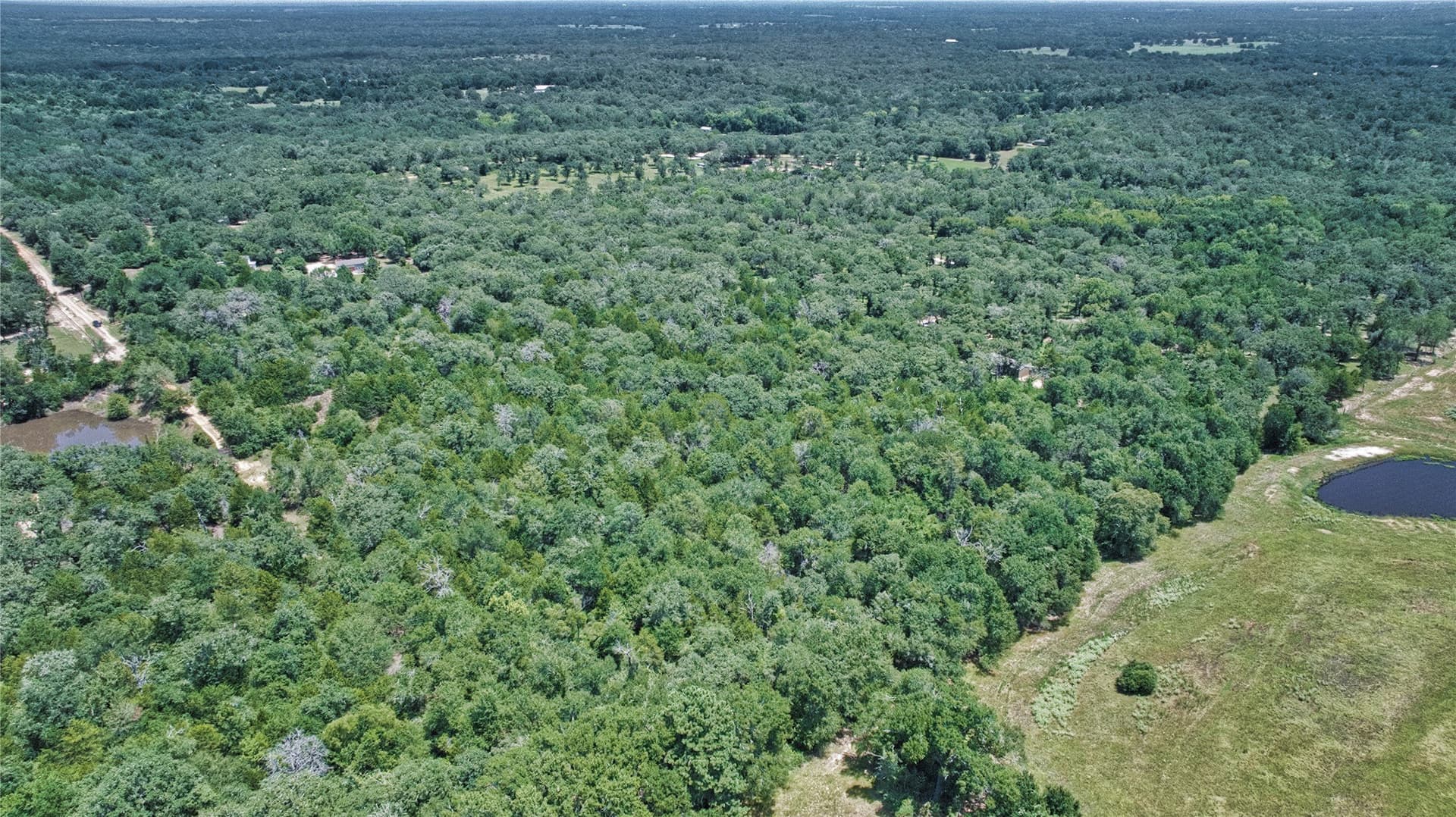6.88 acres in Burleson County - photo 9