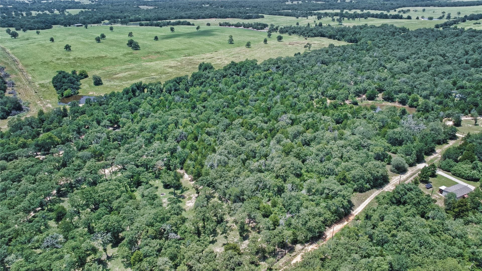6.88 acres in Burleson County - photo 7